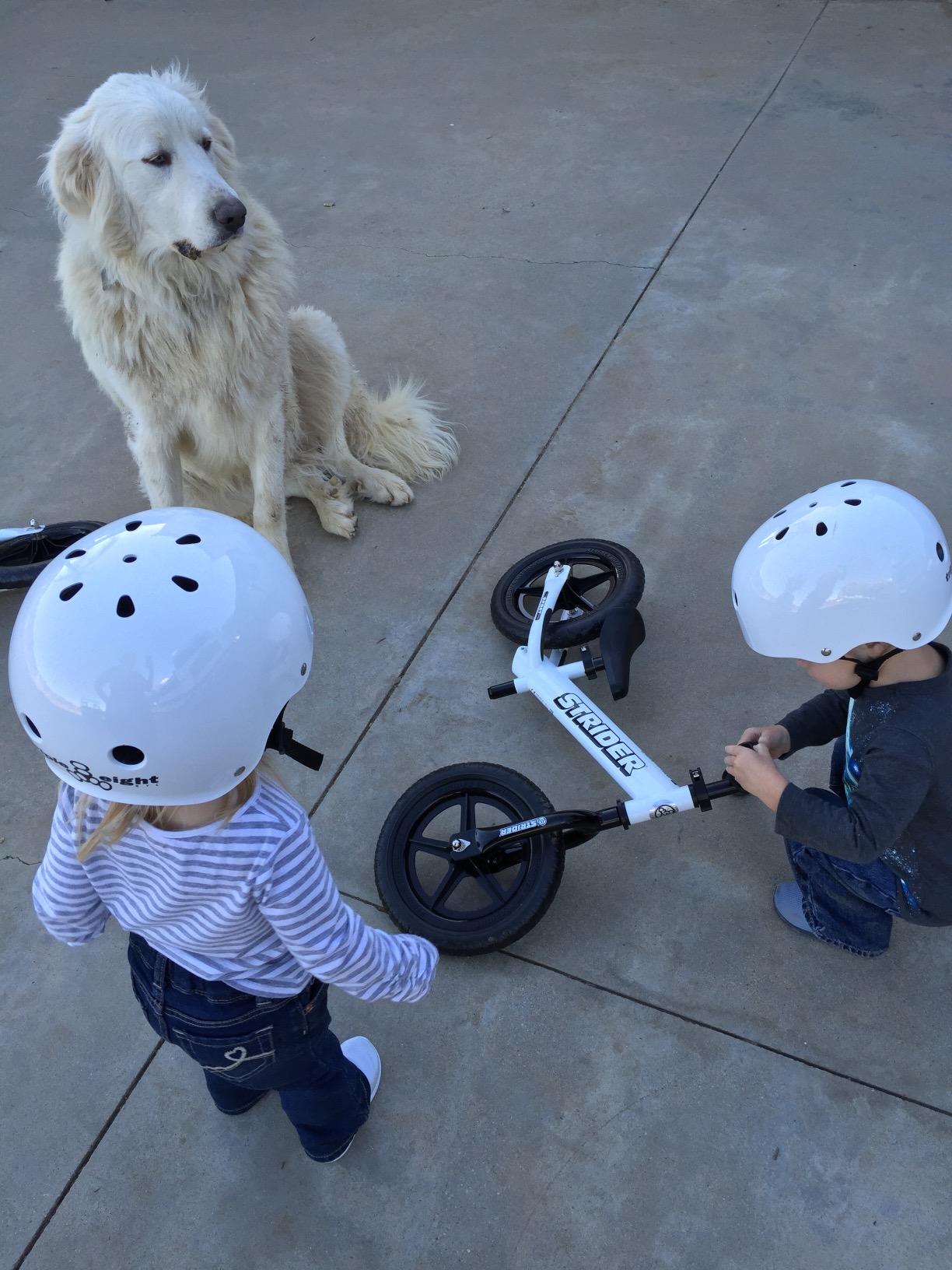 Triple Eight Lil 8 Kids Helmet - Ideal for Biking, Skateboarding, Inline Skating, Rollerblading and Scooter customer photo 1