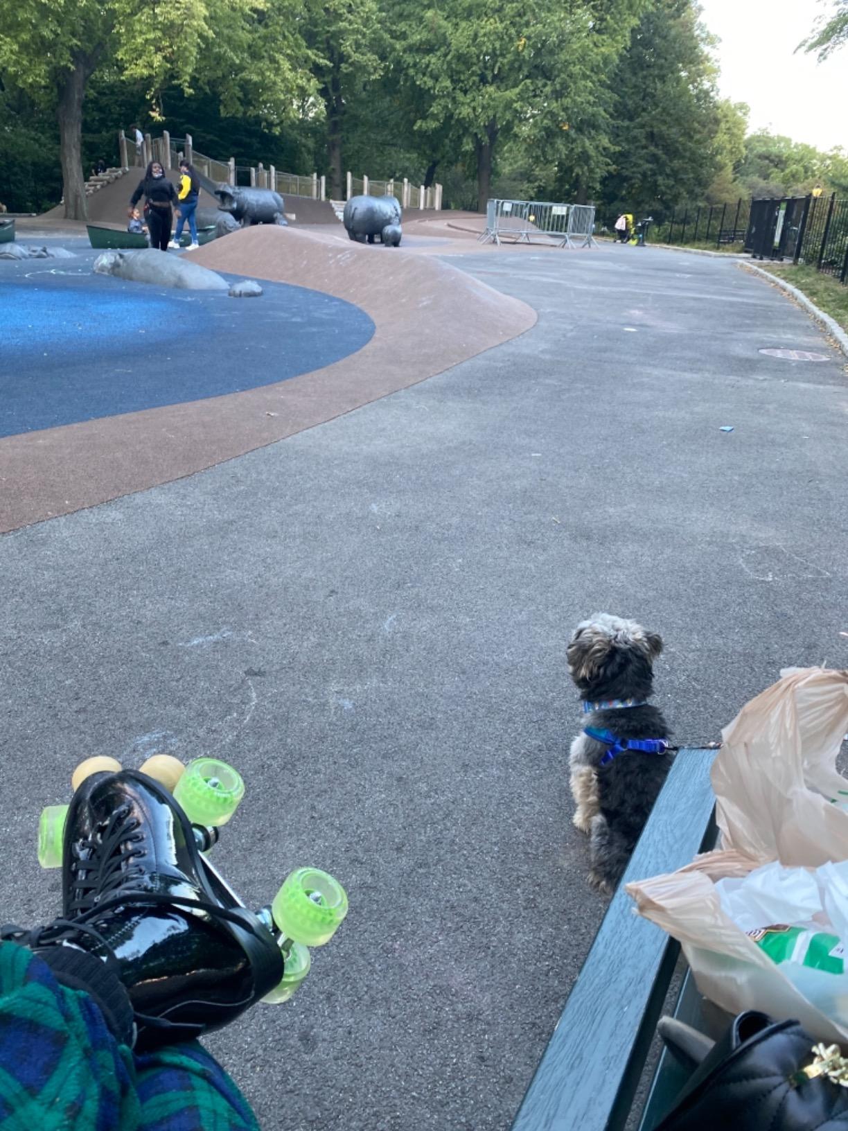 PowerDyne Jupiter Toe Stops - Pair of Natural Rubber Roller Skate Toe Stoppers customer photo 2