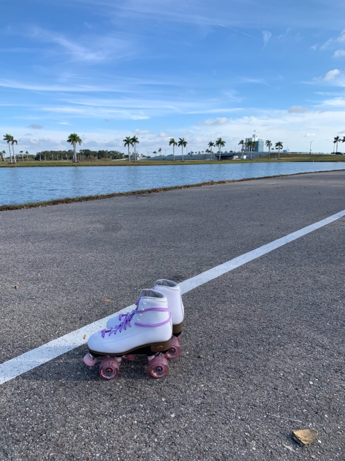 Sure-Grip Fame White Outdoor Unisex Roller Skates with Pink Motion Wheels | Vegan Boot with Microfiber Lining - Rock Nylon Plates & Aluminum Trucks - Matching Pink Cushions and Toe Stop customer photo 2
