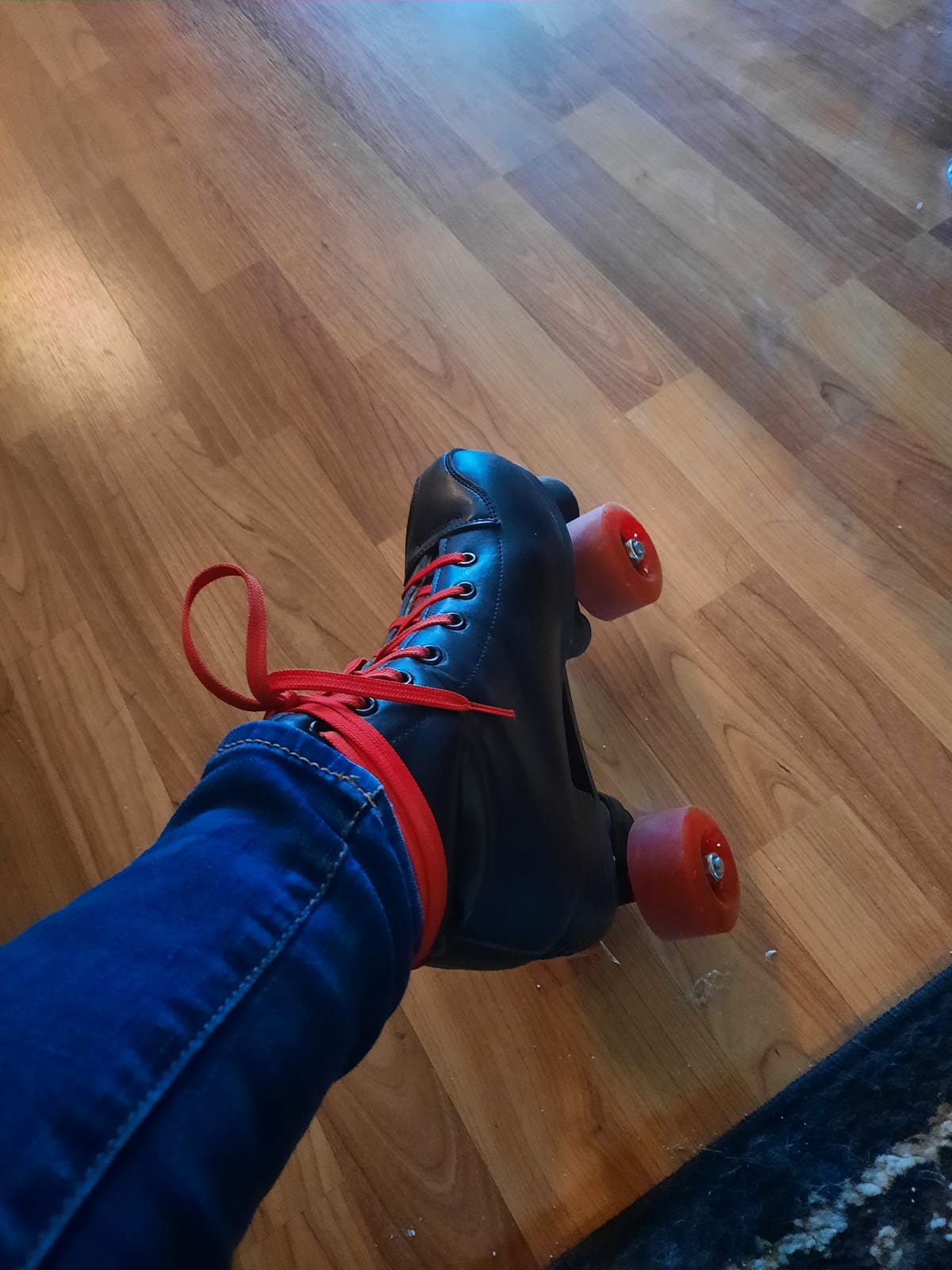 YYW Roller Skates for Women Men, High Top PU Leather Classic Double-Row, Indoor Outdoor, Beginner Shoes Bag customer photo 2