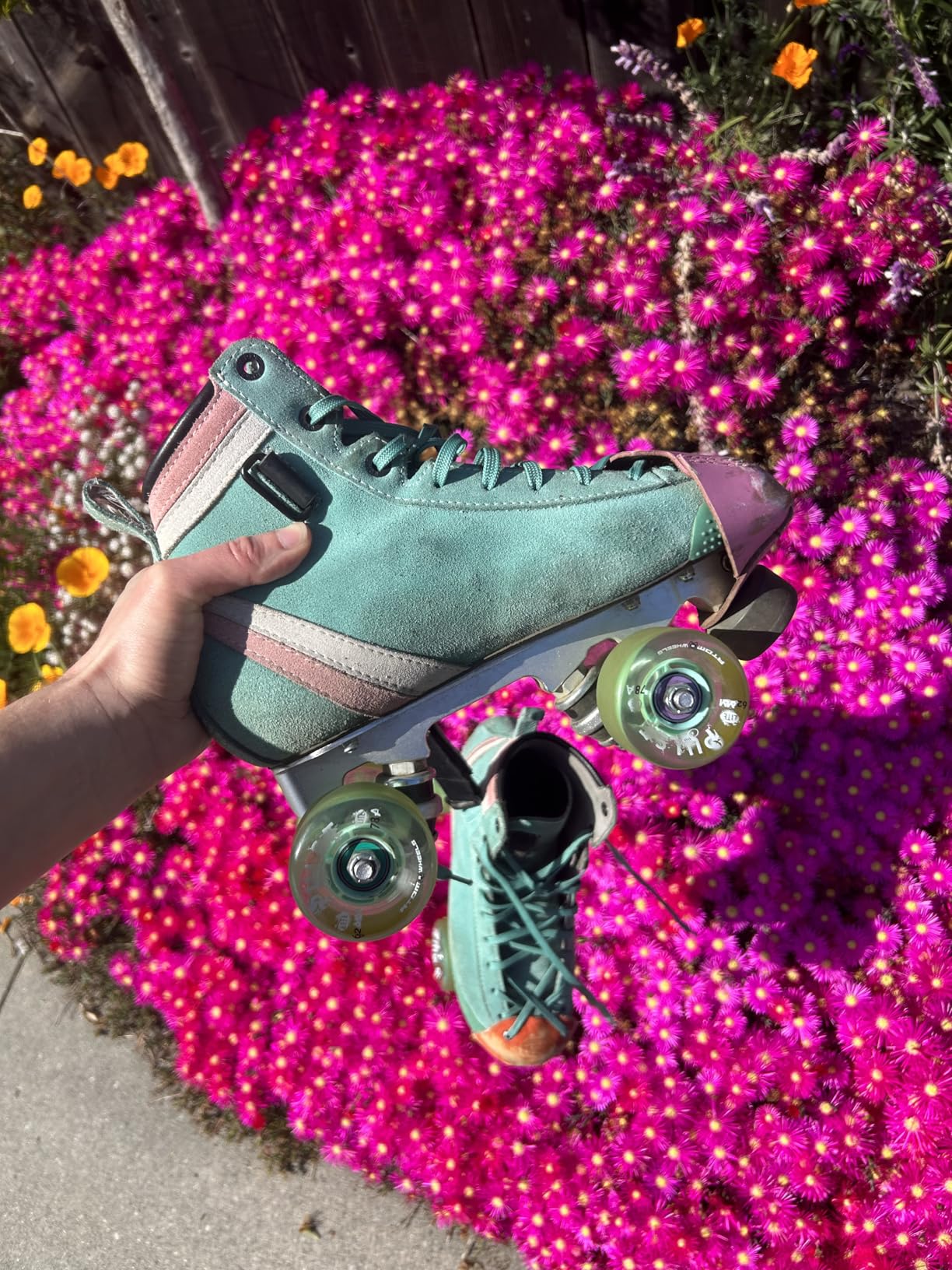 Pulse Outdoor Quad Roller Wheels (Hardness 78A, 65mm x 37mm) customer photo 2