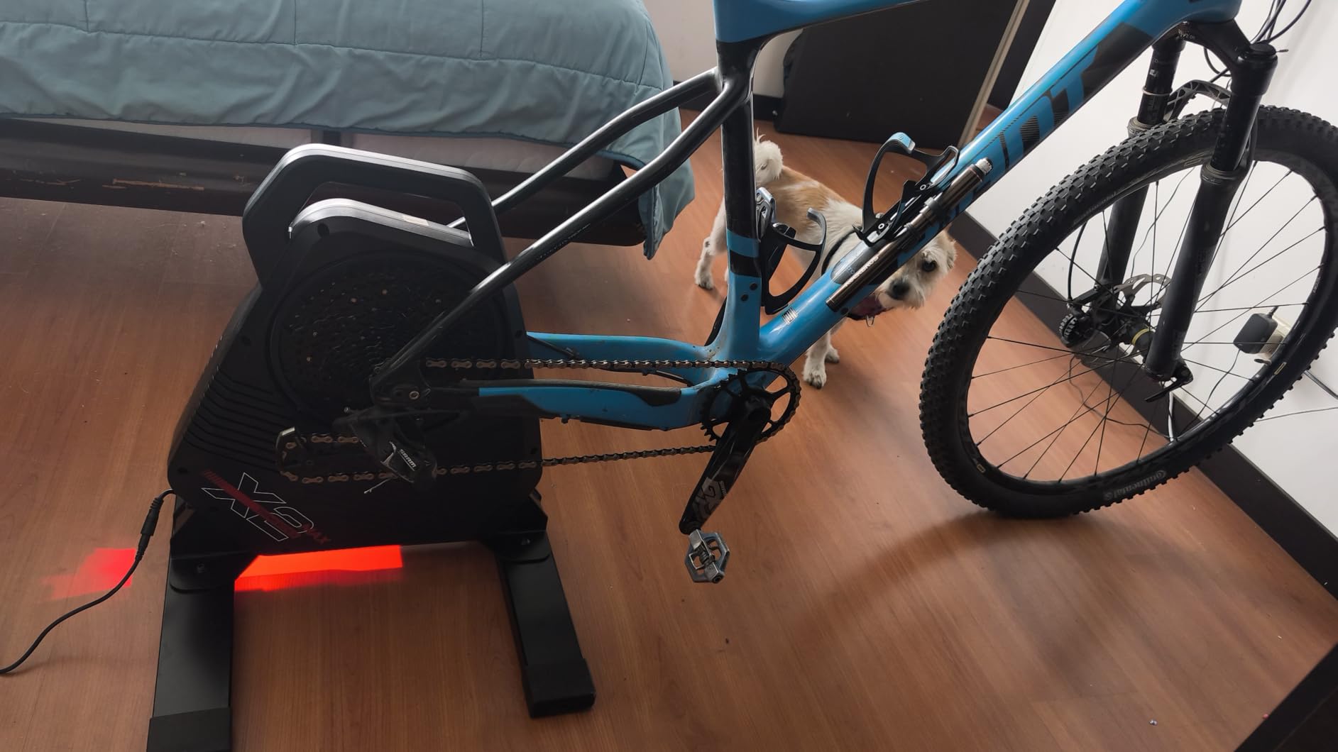 ThinkRider X2Max Smart Bike Trainer,2000w,Simulates 18% Slope,ANT + & BLE customer photo 2