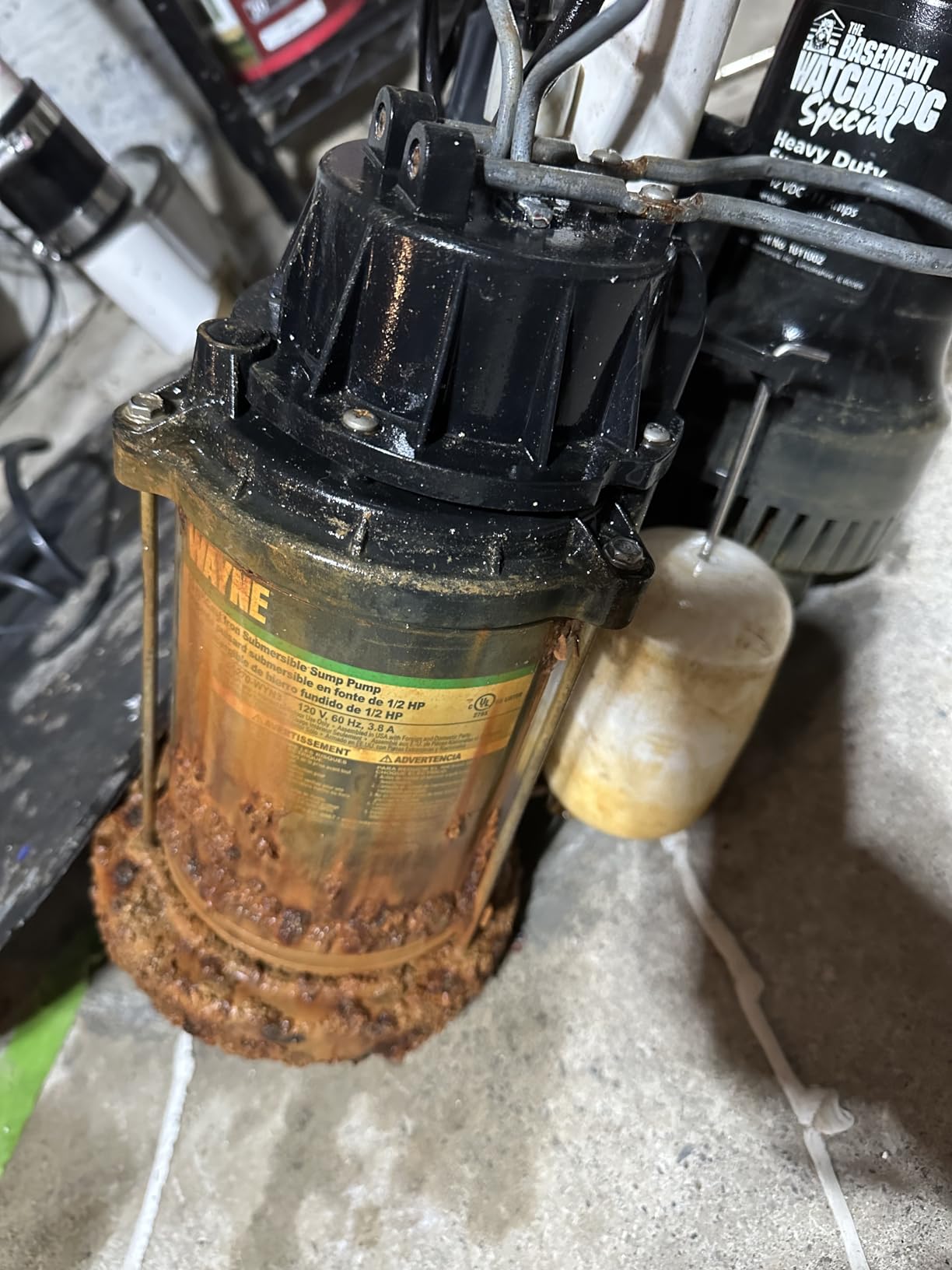 WAYNE CDU800 1/2 HP Submersible Sump Pump – Cast Iron & Stainless Steel, Vertical Float Switch, 5,100 GPH, 3-Year Warranty customer photo 1