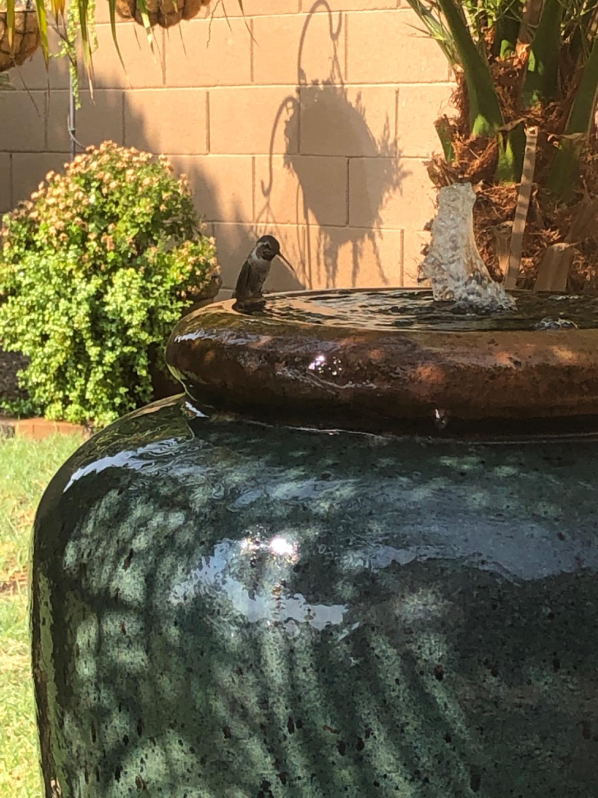 Danner Manufacturing, Inc., Pondmaster 700 GPH Pond-Mag, Magnetic Drive Water Pump, 02527 customer photo 2