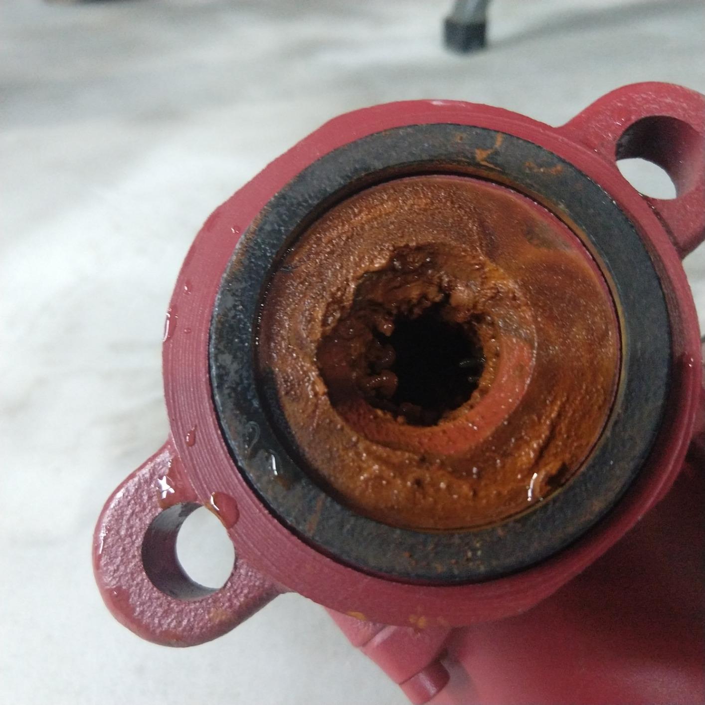 Grundfos 59896155, UP15-42F, SuperBrute Recirculating Pump 1/25 HP,115 -Volt, SMALL RED customer photo 2