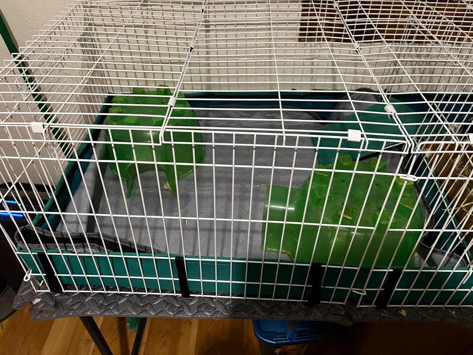 MidWest Homes for Pets Guinea Habitat Plus Cage, Includes Divider Panel and Hinged Top, Washable PVC Canvas Bottom, Expandable Small Animal Cage for Guinea Pigs, 171GHP customer photo 1