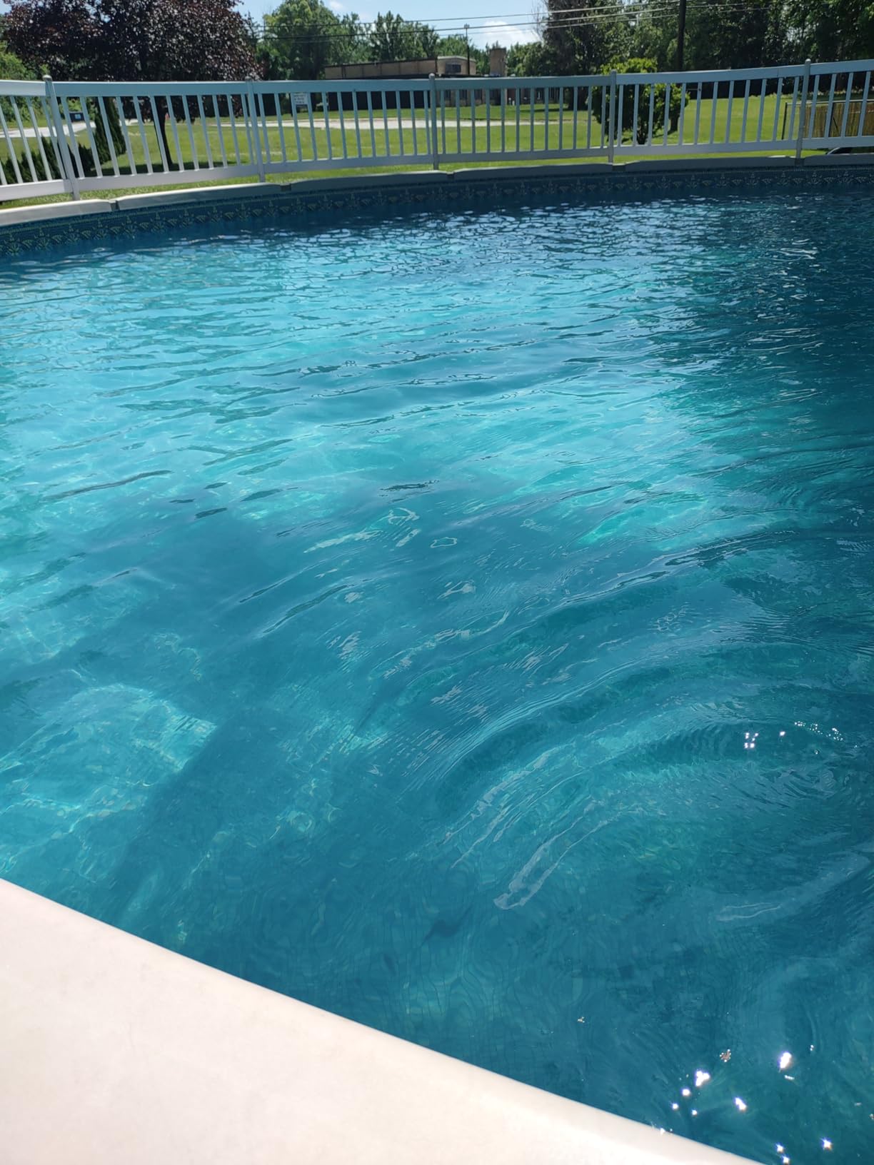 Hayward Automatic Chlorine Chemical Feeder In-Ground and Above Ground Pools customer photo 2