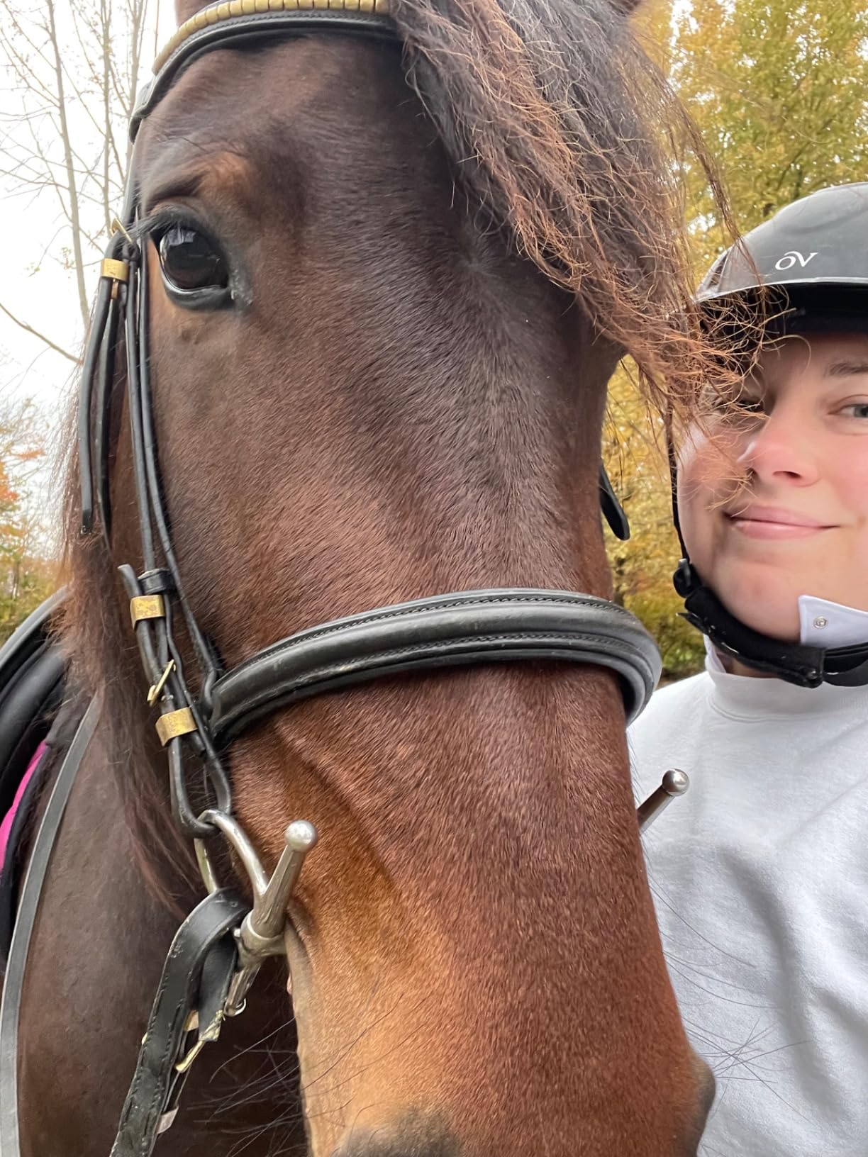 OVATION Adult Deluxe Schooler Riding Helmet - Lightweight Breathable Adjustable Equestrian Safety Helmet w/Removable Liner customer photo 1