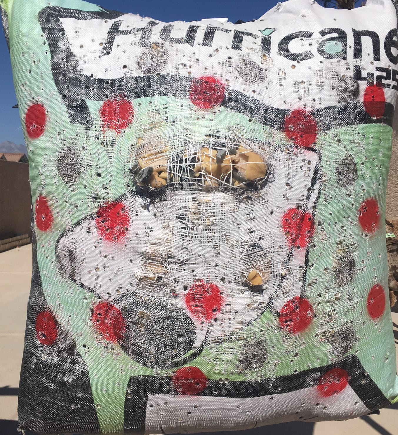 Hurricane 2-Sided High-Velocity Archery Bag Target, High-Visibility Aiming Points, Off-Center Deer Vitals on Back, Heavy-Duty Handle for Easy Transport customer photo 2