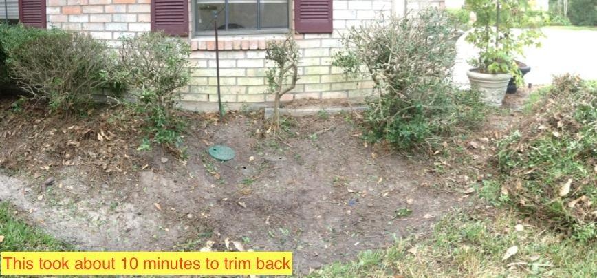 BLACK+DECKER 20V MAX Pole Hedge Trimmer Cordless with Battery and Charger, 18-Inch Dual Action Blade Power Hedge Trimmer, Extended Long Reach Hedger Up to 11 Ft, 180 Degrees Pivoting Head (LPHT120) customer photo 1