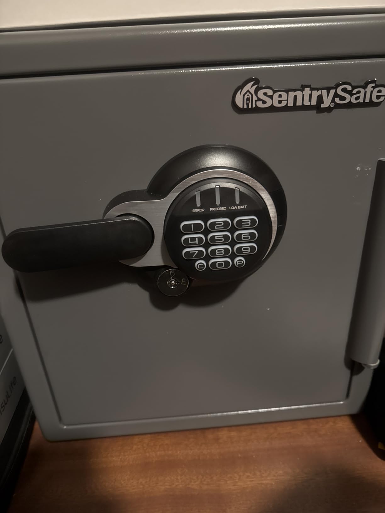 SentrySafe Waterproof and Fireproof Alloy Steel Digital Safe Box for Home with Code Button Keypad, 1.23 Cubic Feet, 17.8 x 16.3 x 19.3 Inches (exterior), SFW123GDC customer photo 2