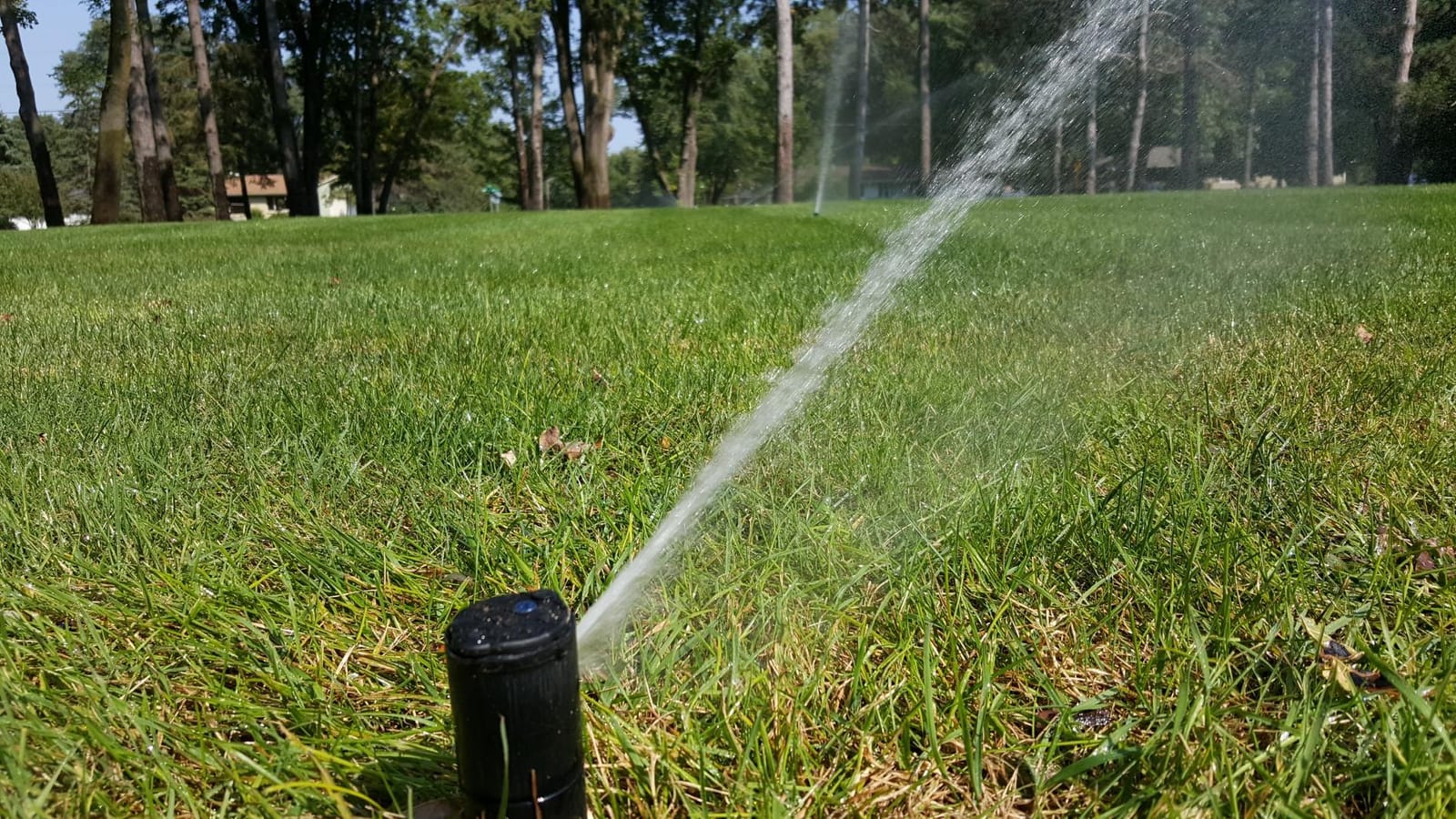 Red Lion RL22G10-3W2V Submersible Well Pump, 1 HP, 3-Wire, 230V, 22 GPM customer photo 2
