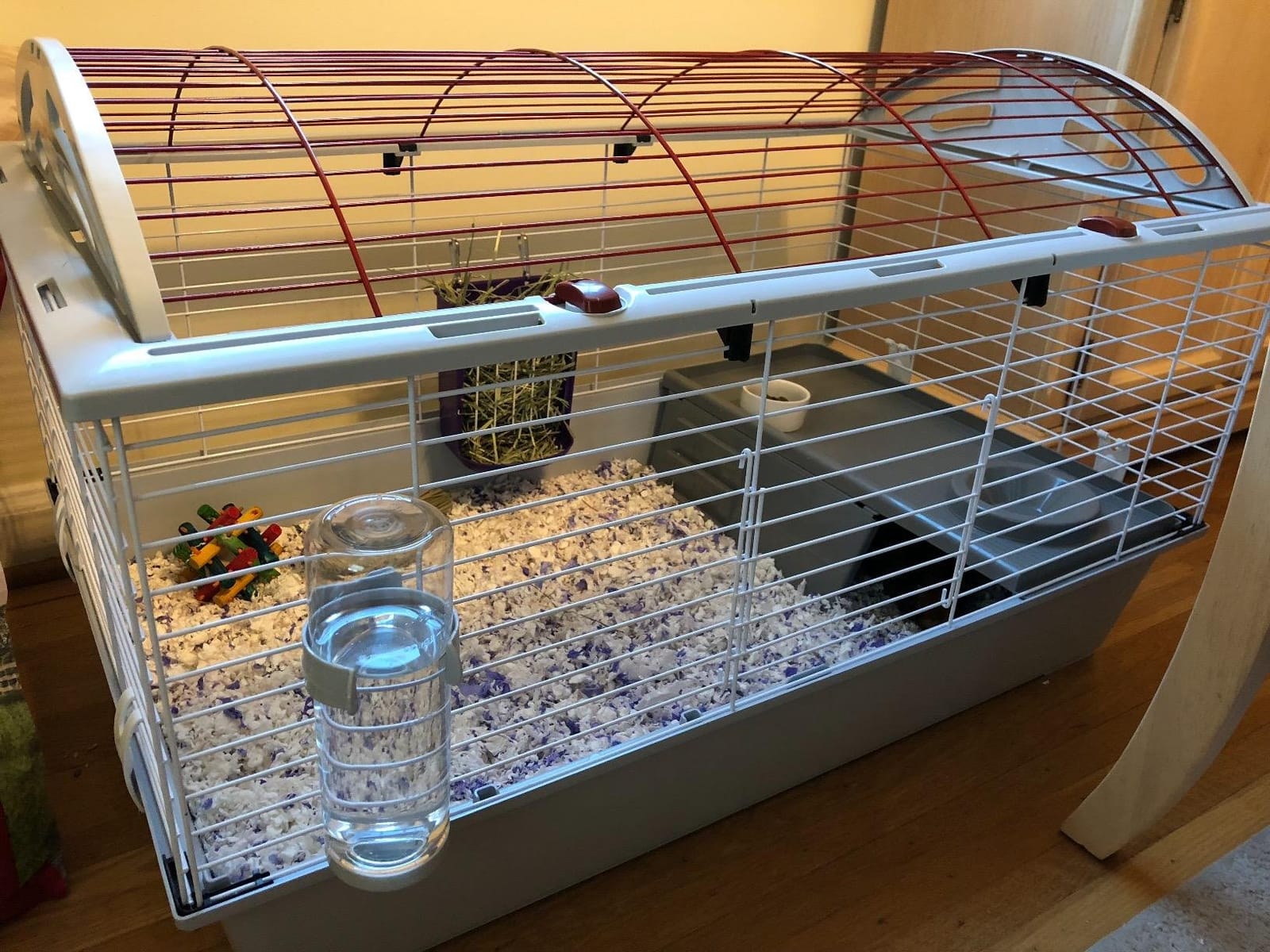 Living World - Deluxe Hybrid Habitat, X-Large customer photo 2