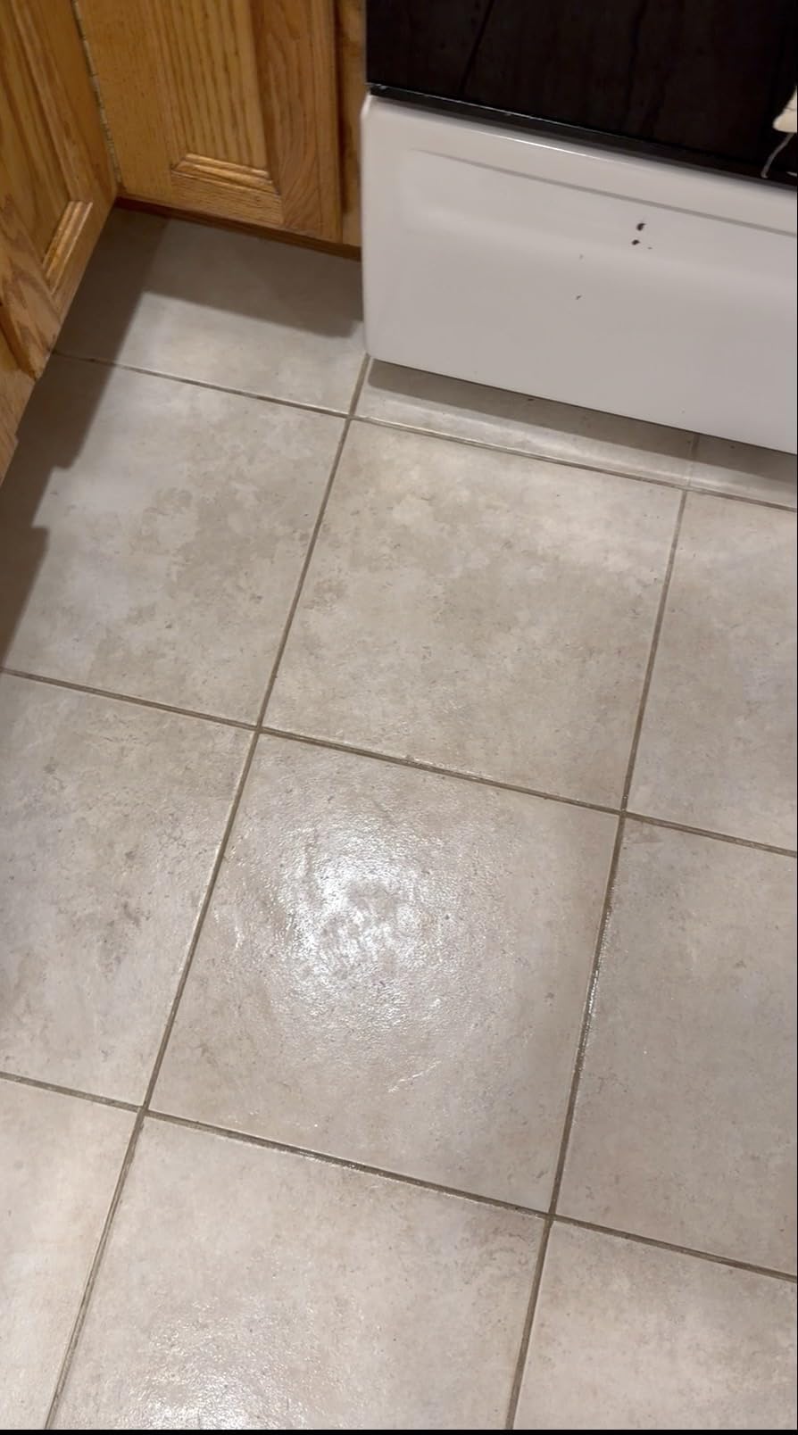 BISSELL Steam Mop 1940A PowerFresh Floor Steam Cleaner for Hard Wood & Tile with Natural Sanitization, Easy Scrubber, Variable Steam, 12” Cleaning Path customer photo 1