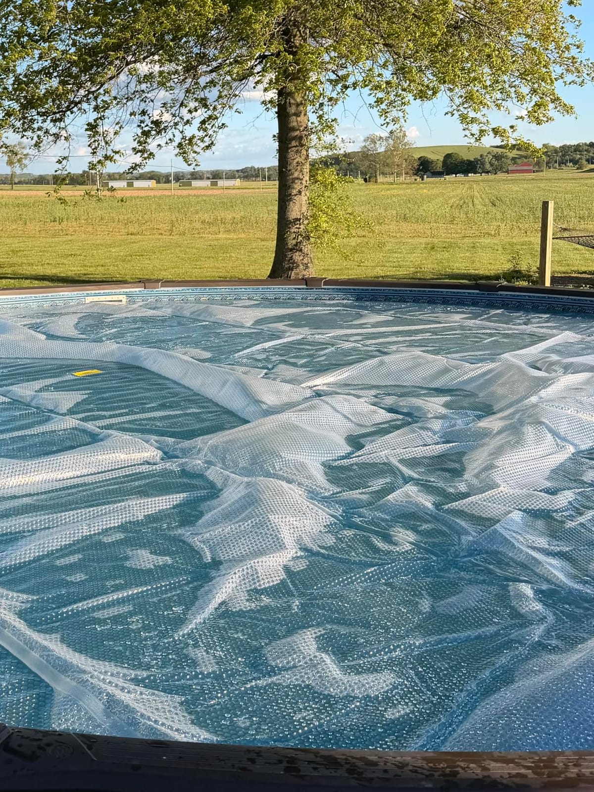 Sun2Solar Blue 24 ft Round Pool Solar Cover | 12 Mil | Heat Retaining customer photo 1
