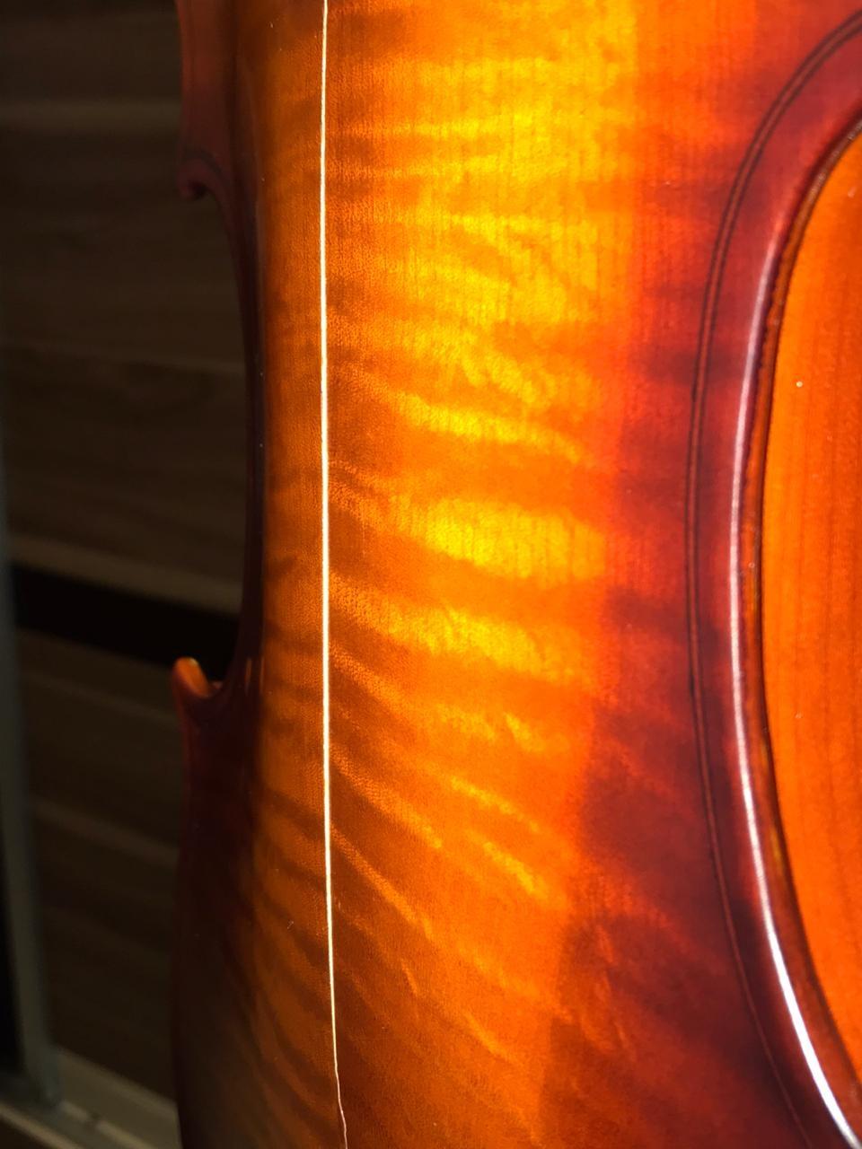 Cecilio Solid Wood Viola 16 Inch Viola Full Size, Professional Handcrafted Acoustic Viola with Ebony Fittings, D'Addario Prelude Strings, Antique Satin Finish customer photo 1