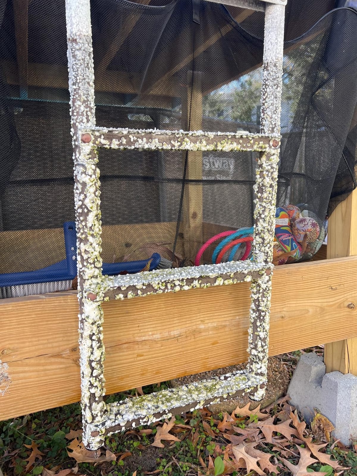 Dock Edge ECO Weld Free Fixed Dock Ladder customer photo 1
