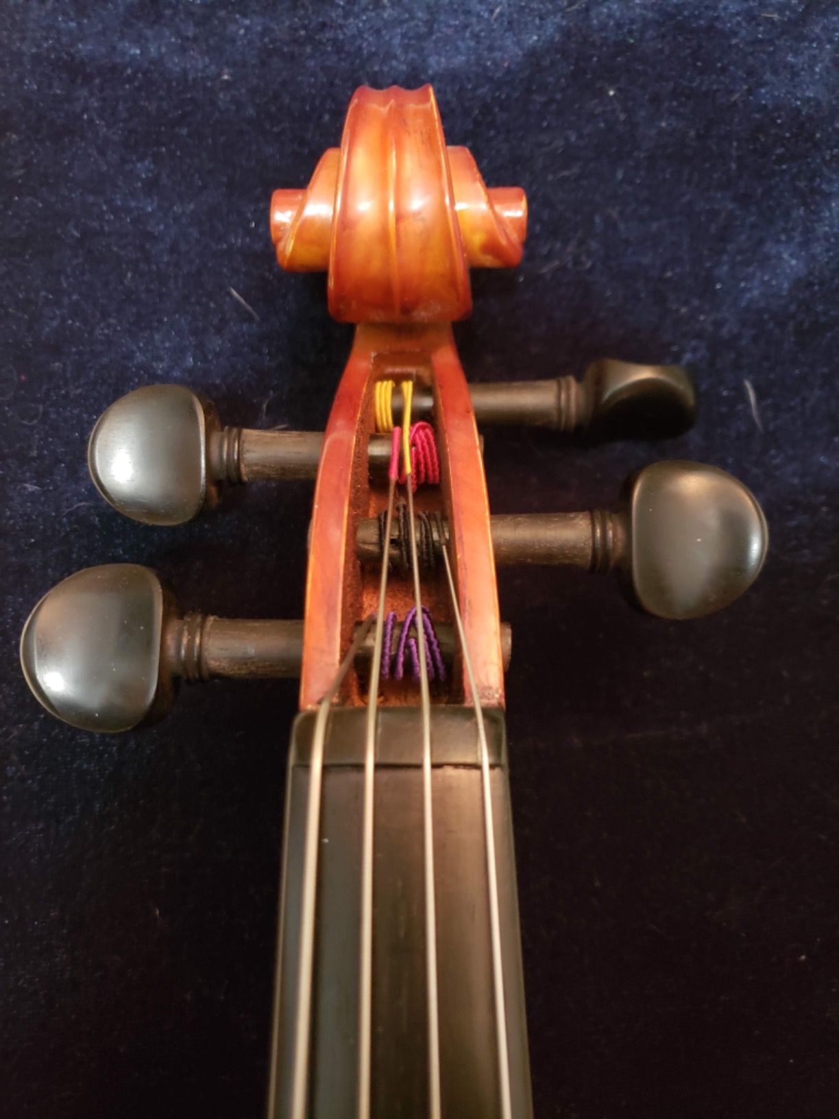 viola Model 101 with Strings, Case, Bow, Shoulder Rest, and Rosin (16.5