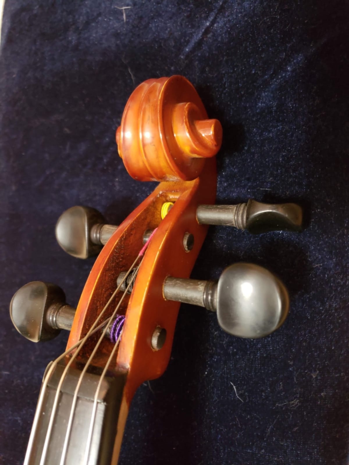 viola Model 101 with Strings, Case, Bow, Shoulder Rest, and Rosin (16.5