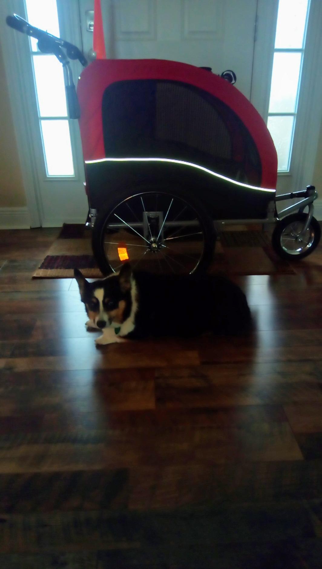 Best Choice Products 2-in-1 Dog Bike Trailer, Pet Stroller Bicycle Carrier w/Hitch, Suspension, Visibility Flag and Reflectors, 66lb Weight Capacity customer photo 1