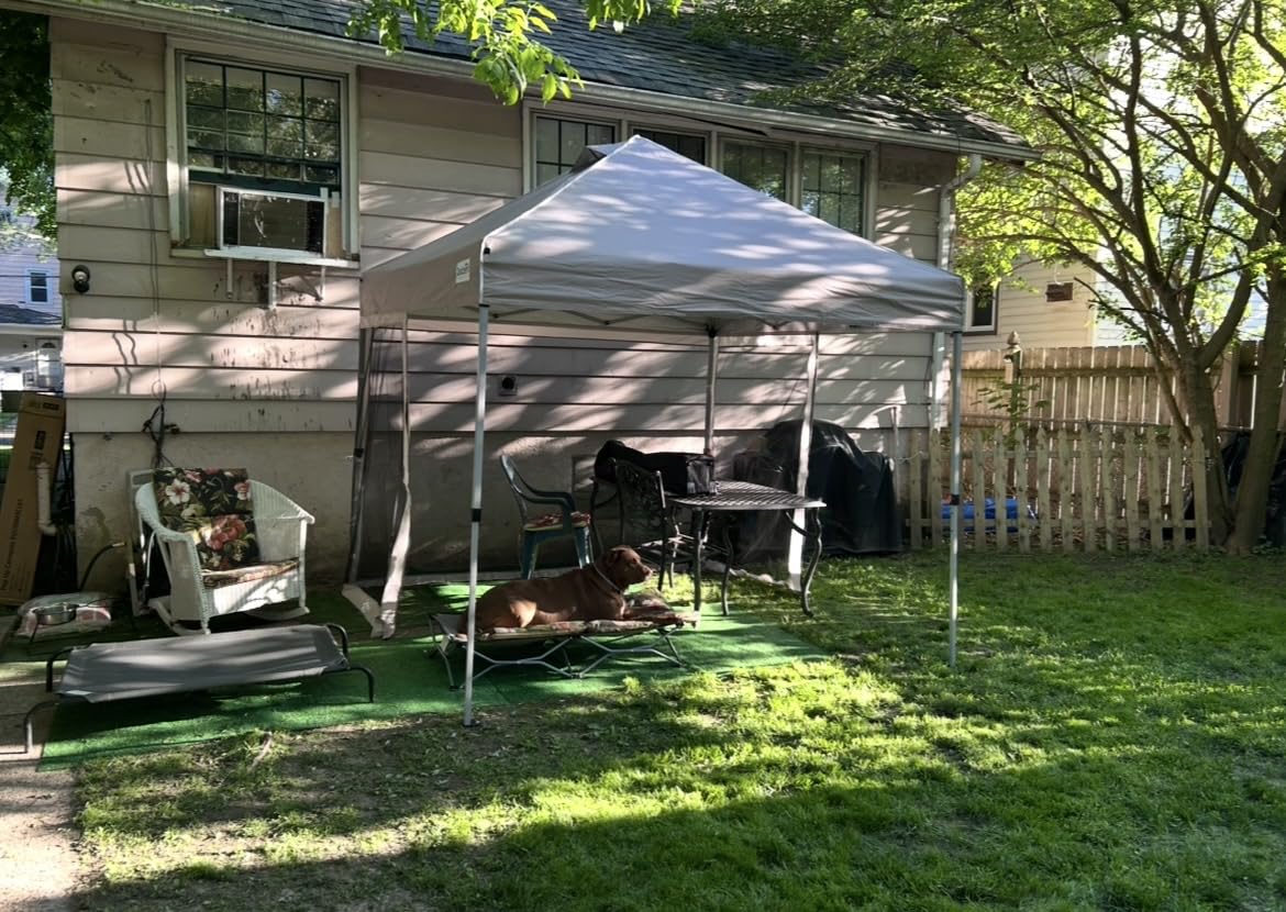 Quictent 10'x10' Pop up Screened Canopy Tent with Mosquito Netting customer photo 1