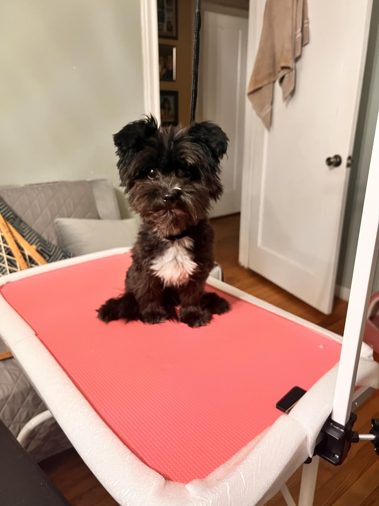 Yaheetech 32 Inch Sturdy Dog Grooming Table for Home, Black customer photo 2