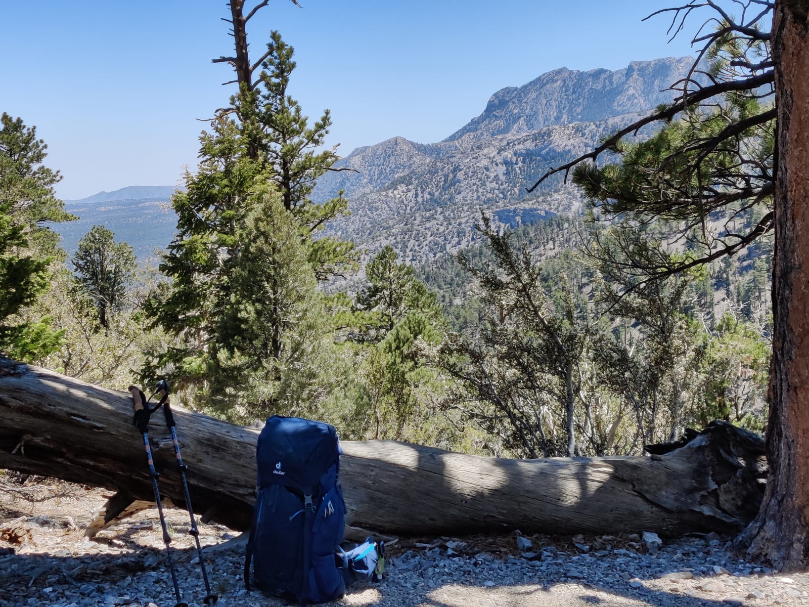 Cascade Mountain Tech Lightweight Aircraft-Grade Aluminum Trekking Poles with Extended Down Grip Plus Tip Kit customer photo 2