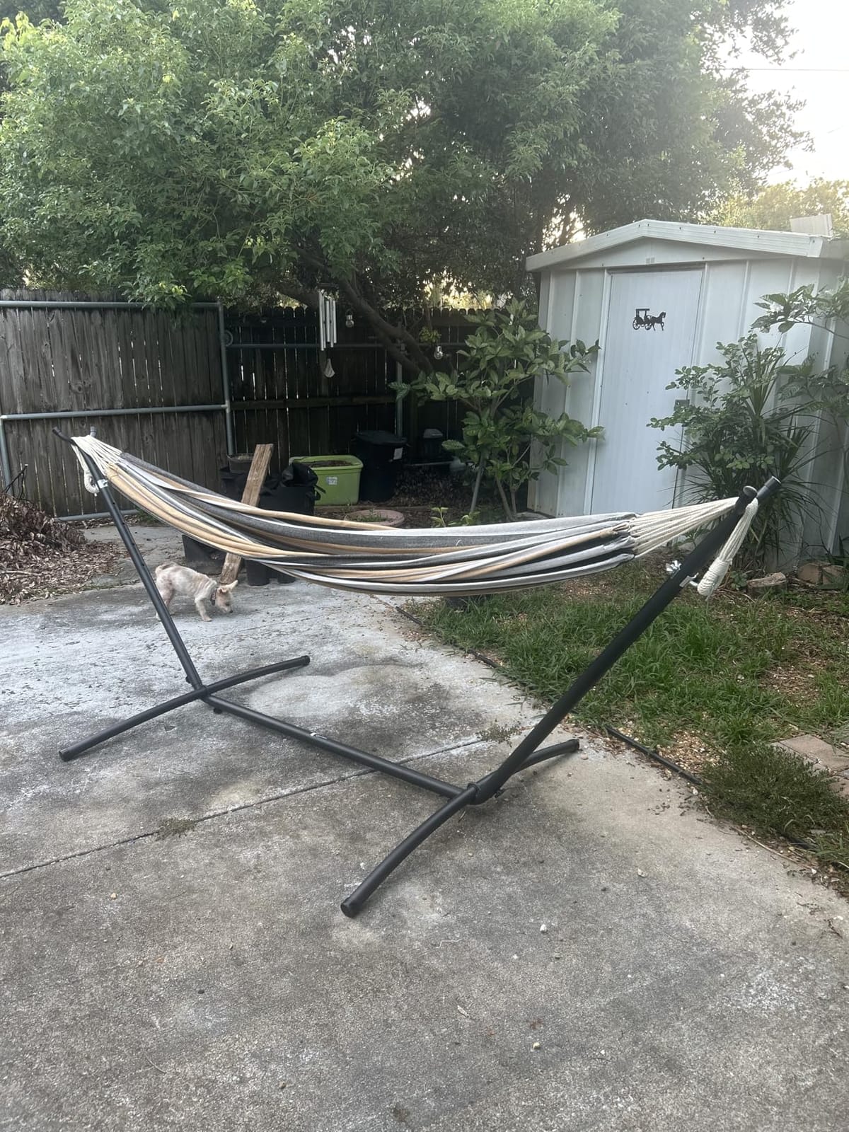 Amazon Basics Double Portable Hammock with Space Saving Steel Stand and Carrying Case, 2 Person, 470lb Capacity, Multi Color, 118