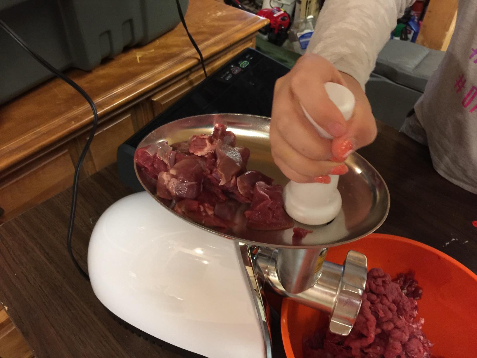 Gourmia Electric Meat Grinder – 500W Commercial Grade Meat Processor with Sausage Stuffer, 3 Stainless Steel Grind Plates Fine to Coarse, Stainless Steel customer photo 2