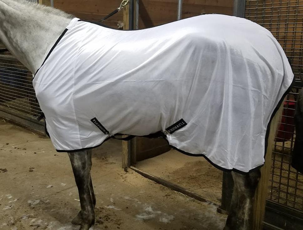TuffRider Comfy Mesh Fly Sheet | UV Protection Horse Sheet, Standard Neck, 130 Grams Breathable Polyester Mesh - White - 75 customer photo 1