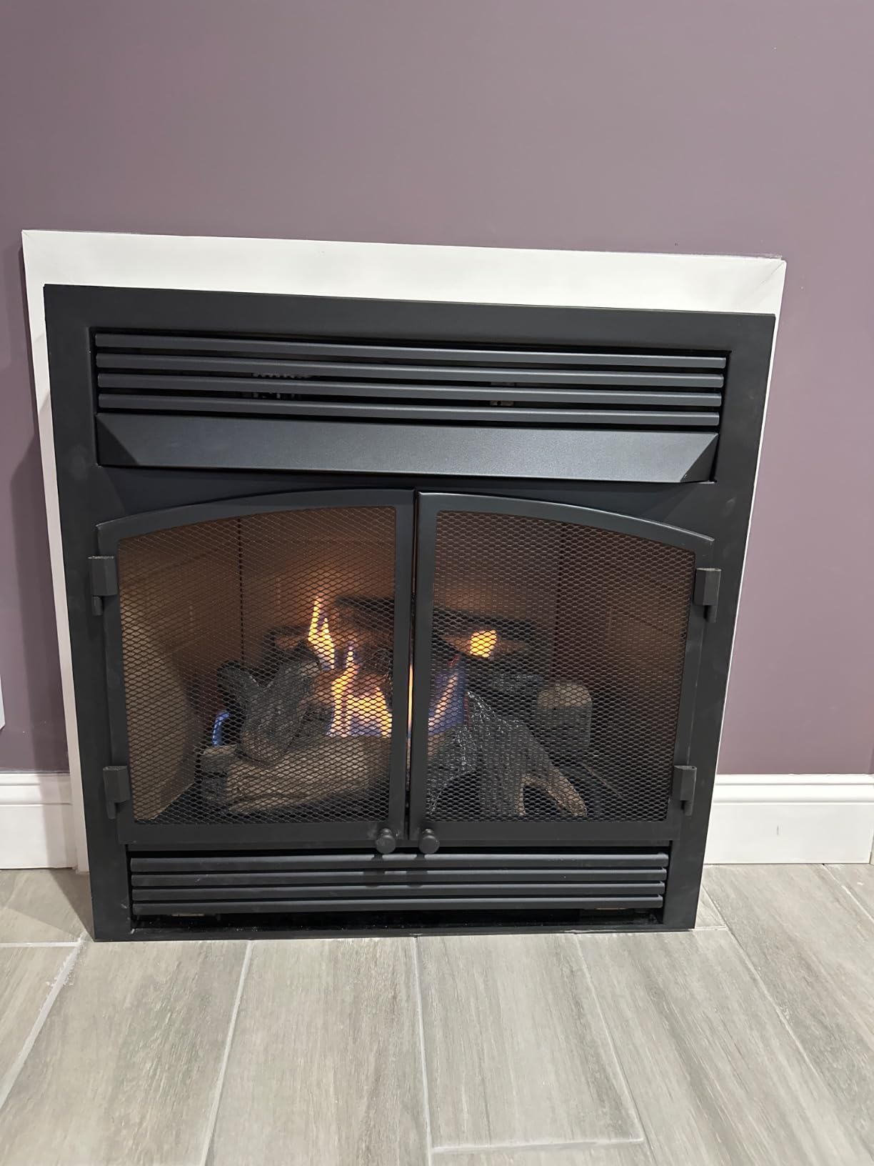 Duluth Forge Dual Fuel Ventless Gas Fireplace Insert - 32,000 BTU, T-Stat Control - Model# FDF400T-ZC customer photo 2