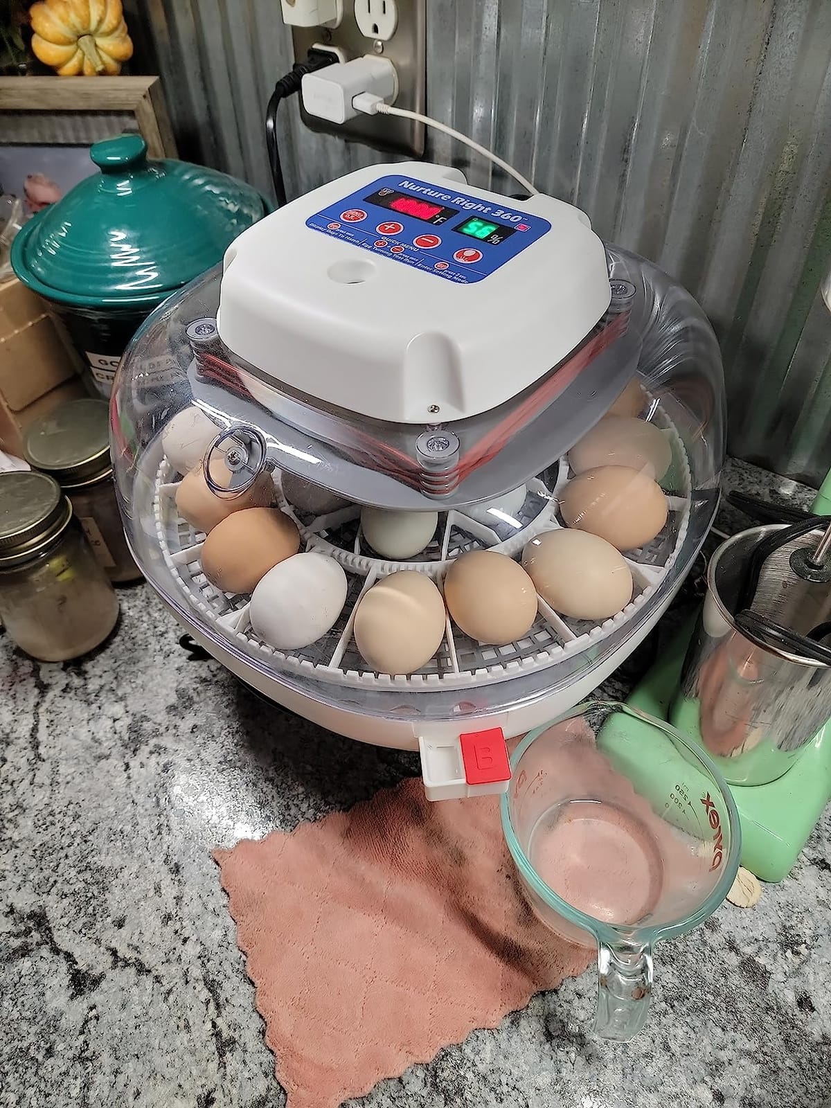 Harris Farms Nurture Right Egg Incubator with Auto Turner, Holds 22 Eggs customer photo 1