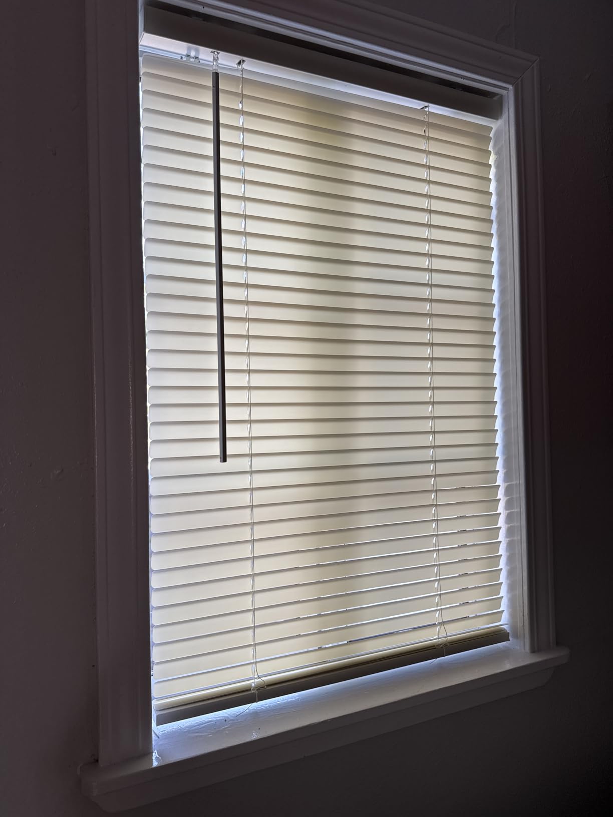 LOTUS & WINDOWARE Cordless Mini Blind, 1