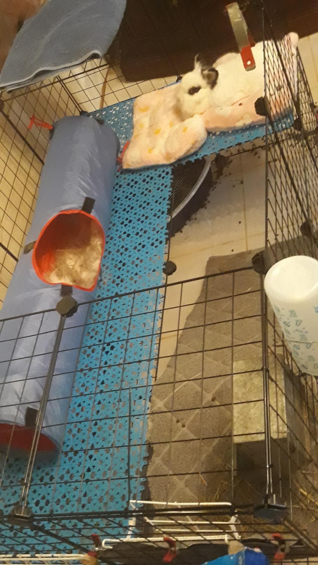 SONGMICS Pet Playpen, Small Animal Playpen customer photo 1