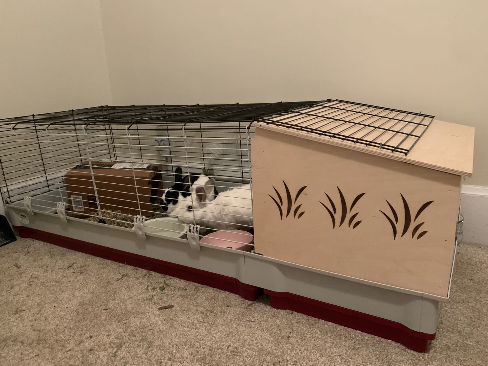 Midwest Homes for Pets Deluxe Rabbit & Guinea Pig Cage, X-Large, White & Red customer photo 1