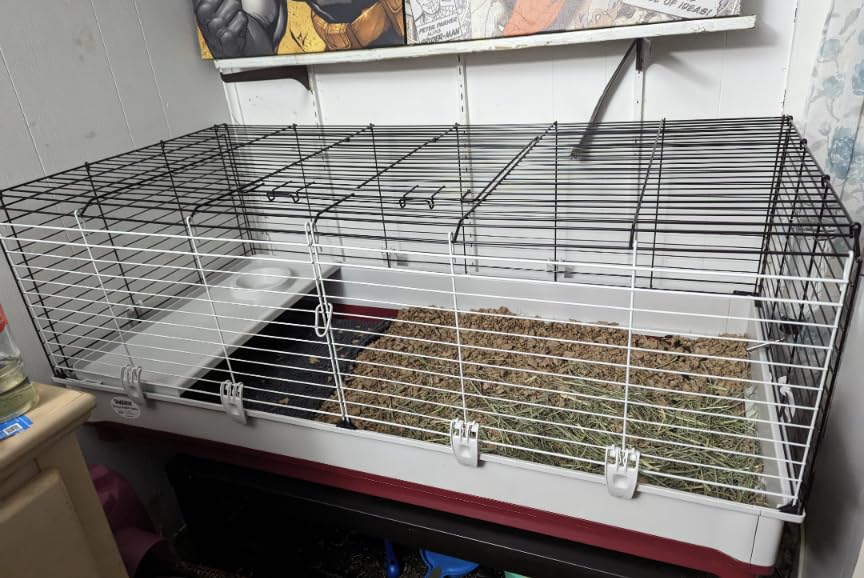 Midwest Homes for Pets Deluxe Rabbit & Guinea Pig Cage, X-Large, White & Red customer photo 2