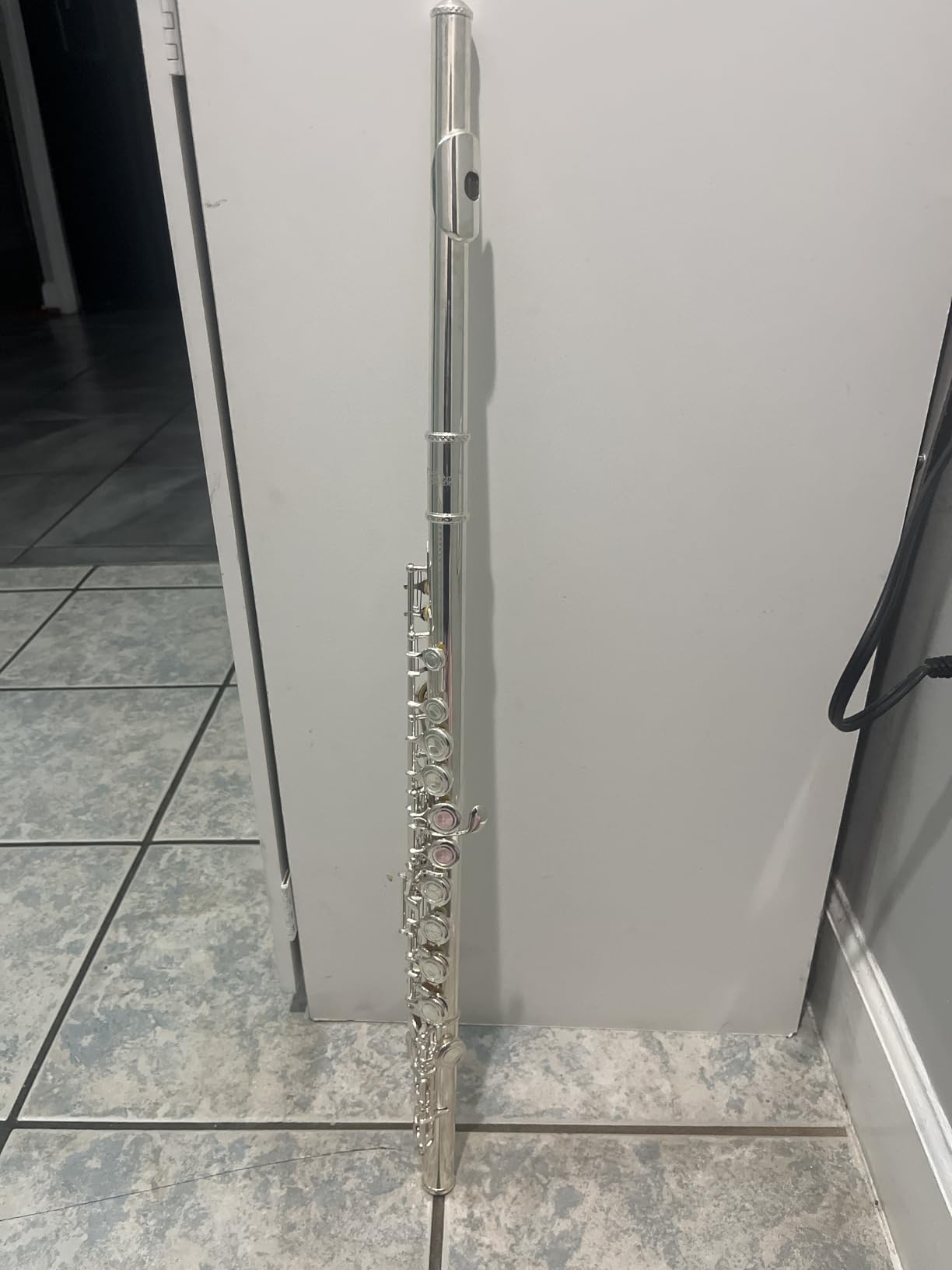 Eastar 16-Key Closed Hole C Flute Kids Beginner, Nickel Full Kit, EFL-1 customer photo 2