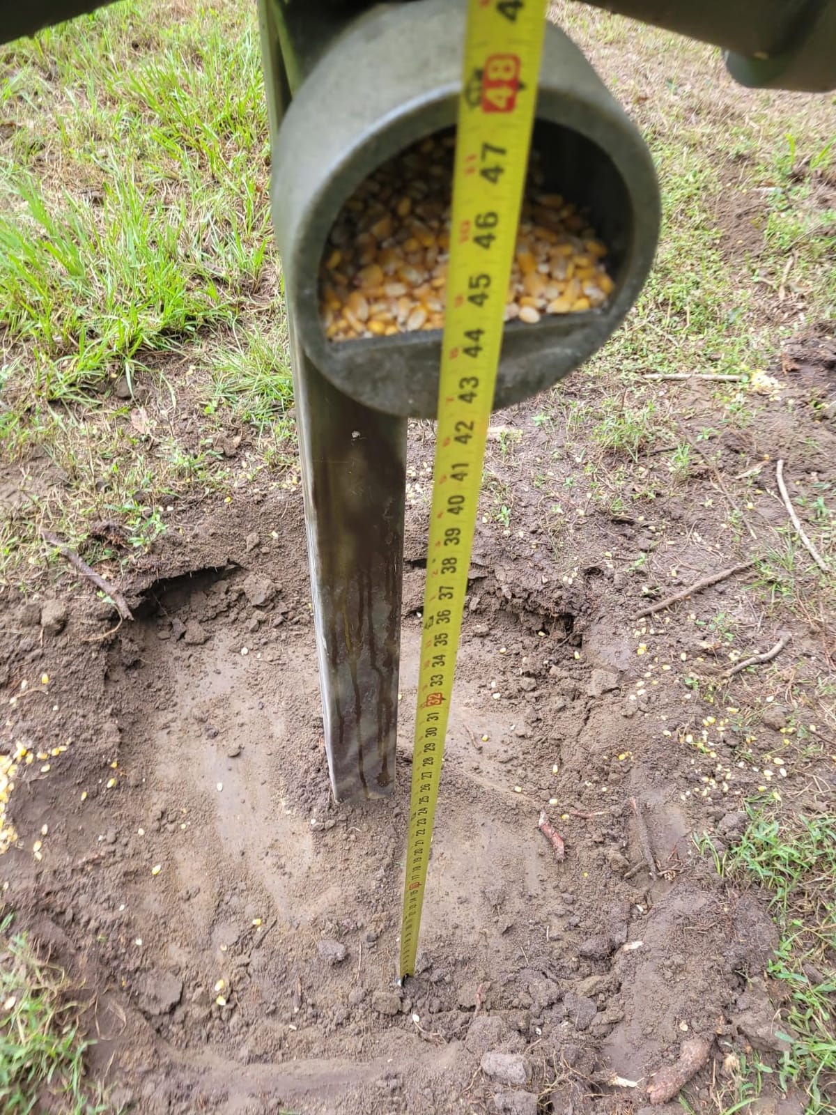 Banks Outdoors Gravity Fed Post Mounted Weatherproof Feed Bank Deer and Game Hunting Feeder with 150 Pound Capacity, Green customer photo 2