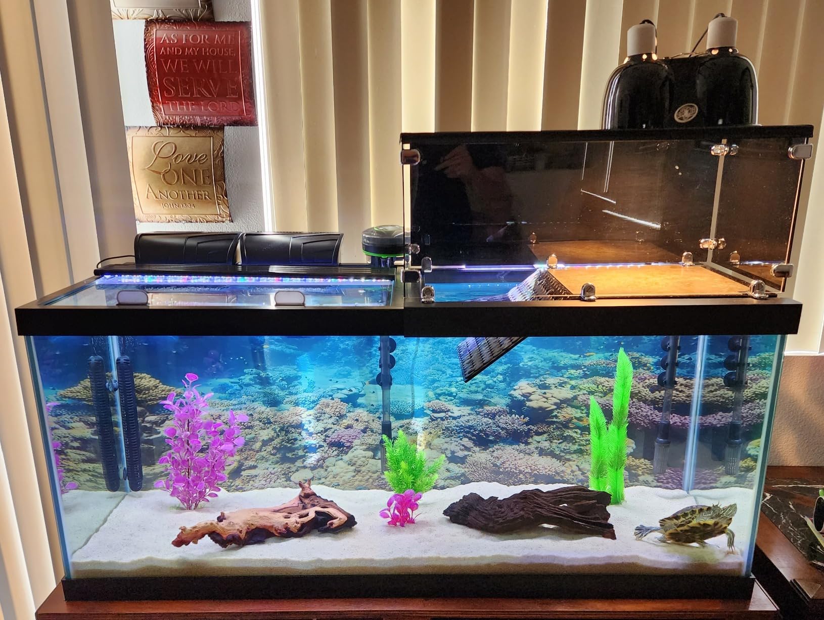 FREESEA Durable Small Pond Pump: 365+ days Continuous Operation customer photo 1