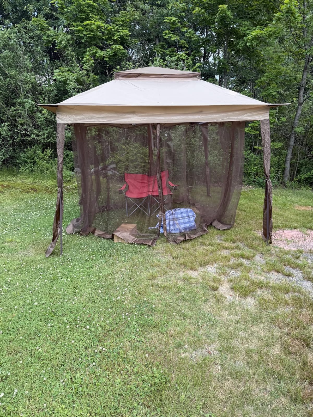 COOS BAY 11x11 Pop Up Gazebo with Netting, Canopy Tent, Beige | Outdoor Gazebo for Backyard, Party & Patio Furniture, Screened Canopy with Carry Bag, UPF 50+ UV Protection, Dual Vented Top customer photo 2