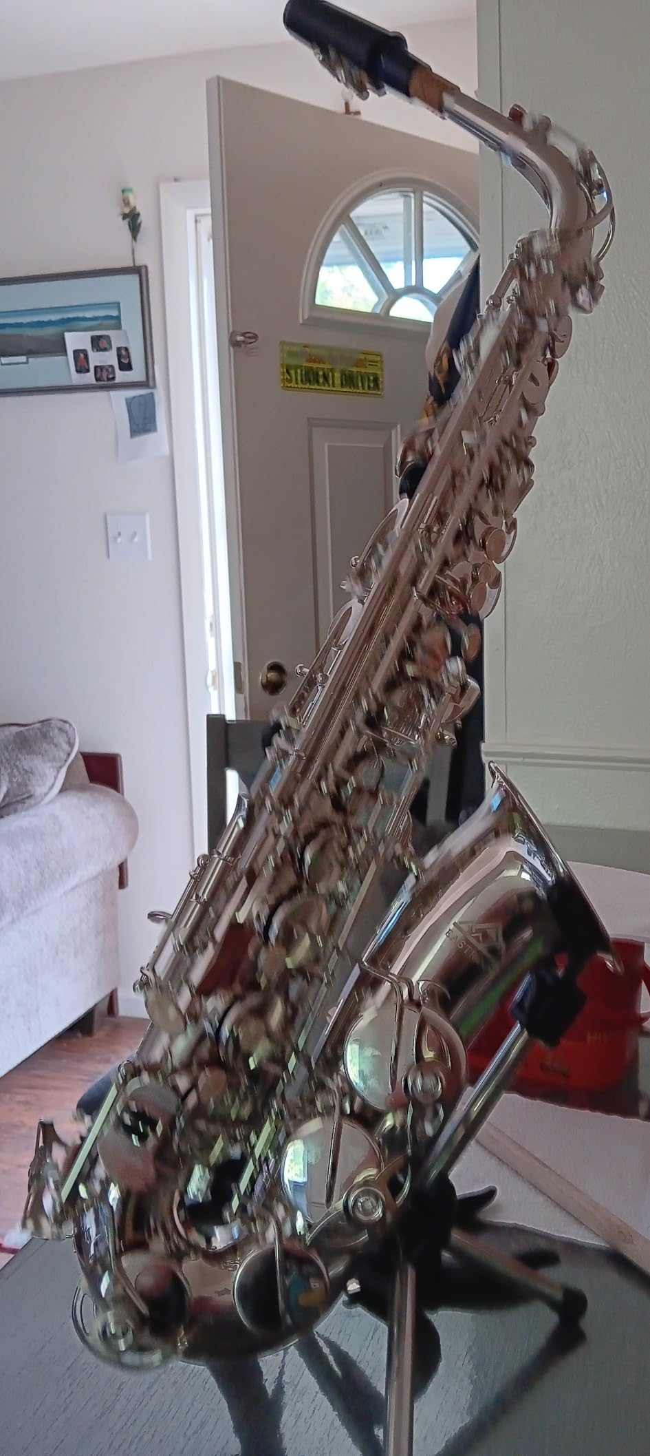 EASTROCK E Flat Alto Saxophone Gold Alto Sax for Beginners and Students customer photo 1