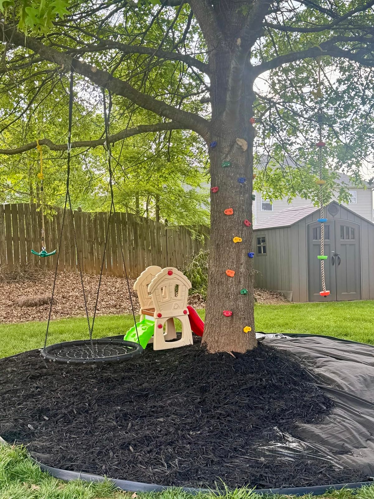 KINSPORY 15pc Rock Wall Climbing Holds for Kid, Play Set Climber Attachment customer photo 2