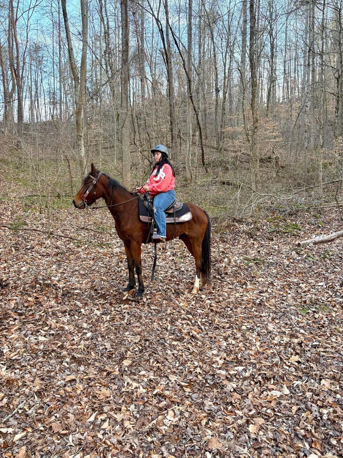 Troxel Rebel Bold Horse Riding Helmet, Low-Profile, Light, Adjustable Design, Safety Horseback Riding Gear customer photo 2