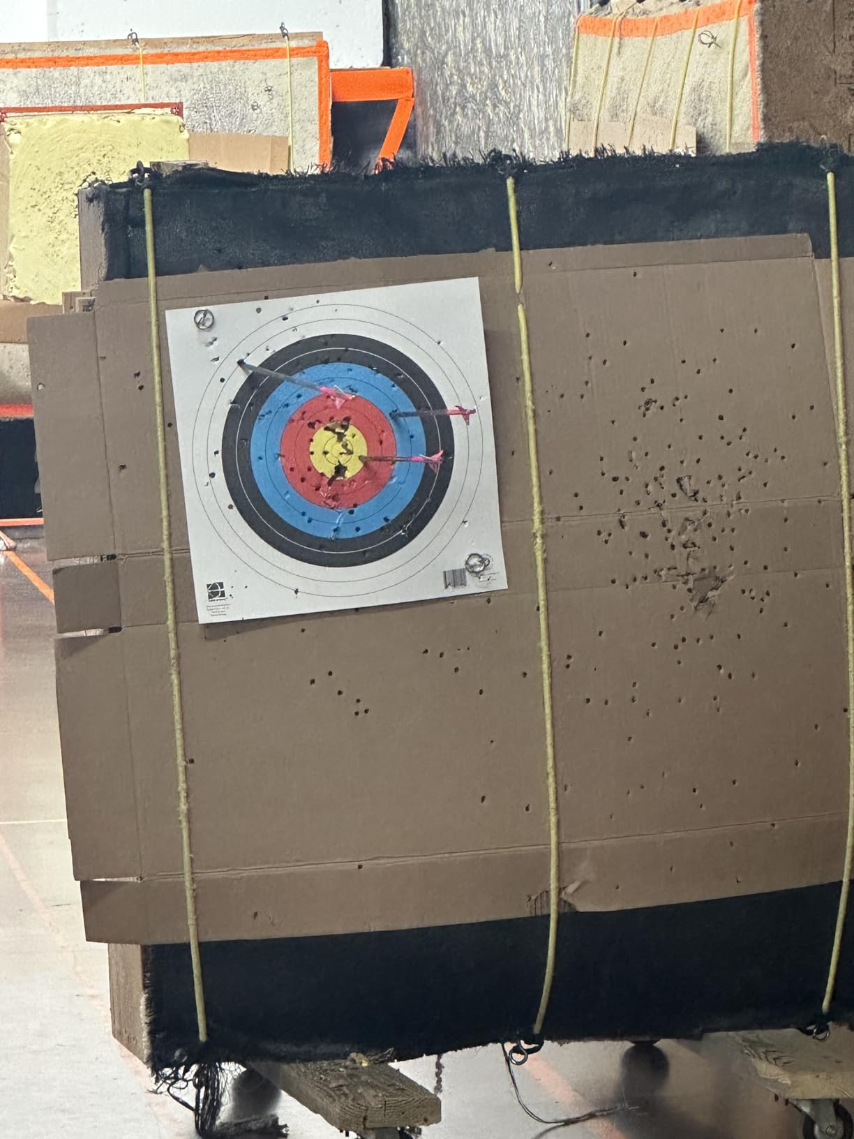 Bear Archery Royale Ready to Hunt Compound Bow Archery Set with Archery Accessories for Adults and Youths, 12”- 27” Draw Length, 5-50 Lbs Draw Weight, Up to 290 FPS customer photo 1