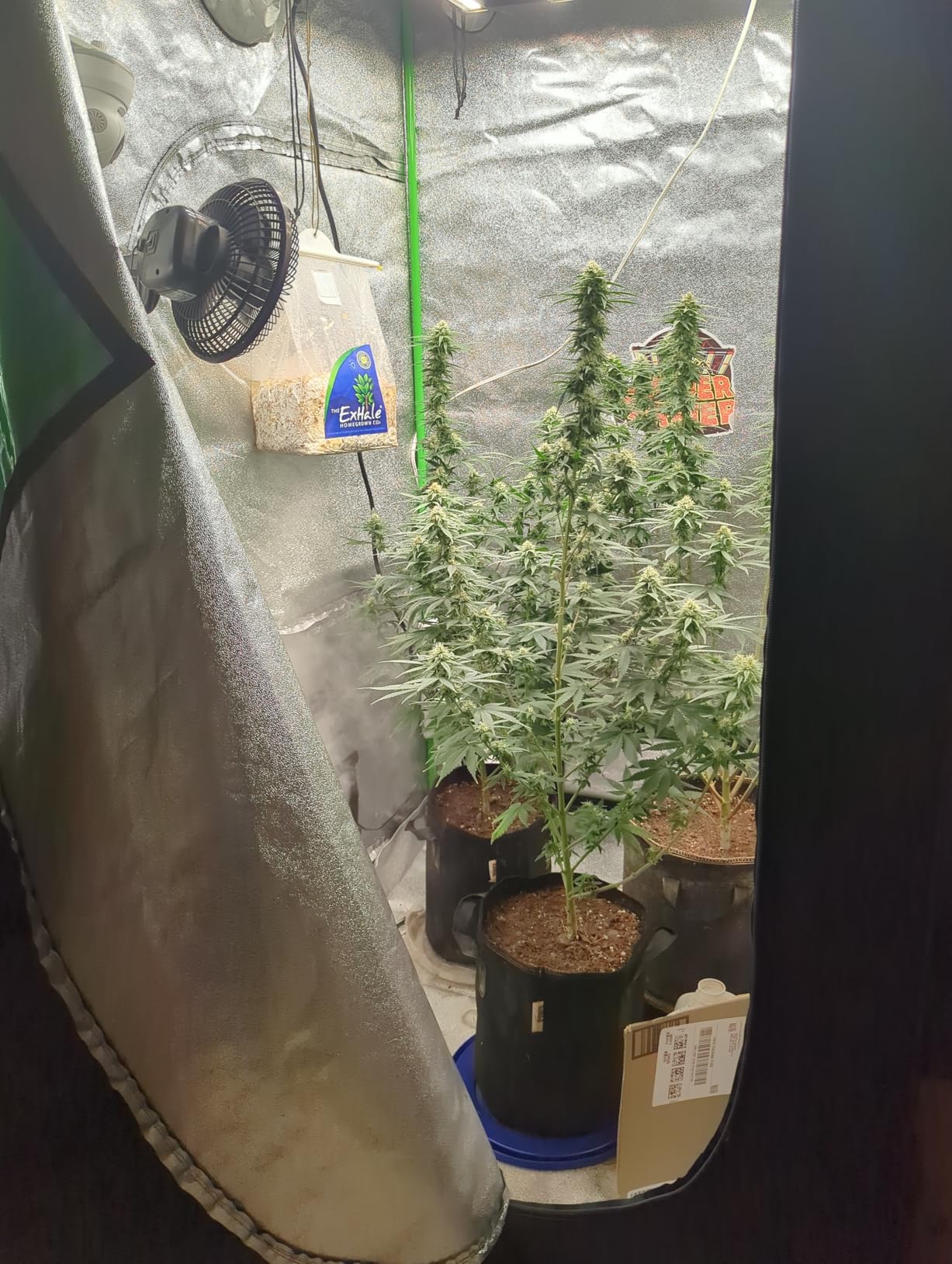 Spider Farmer 3x3 Grow Tent 36