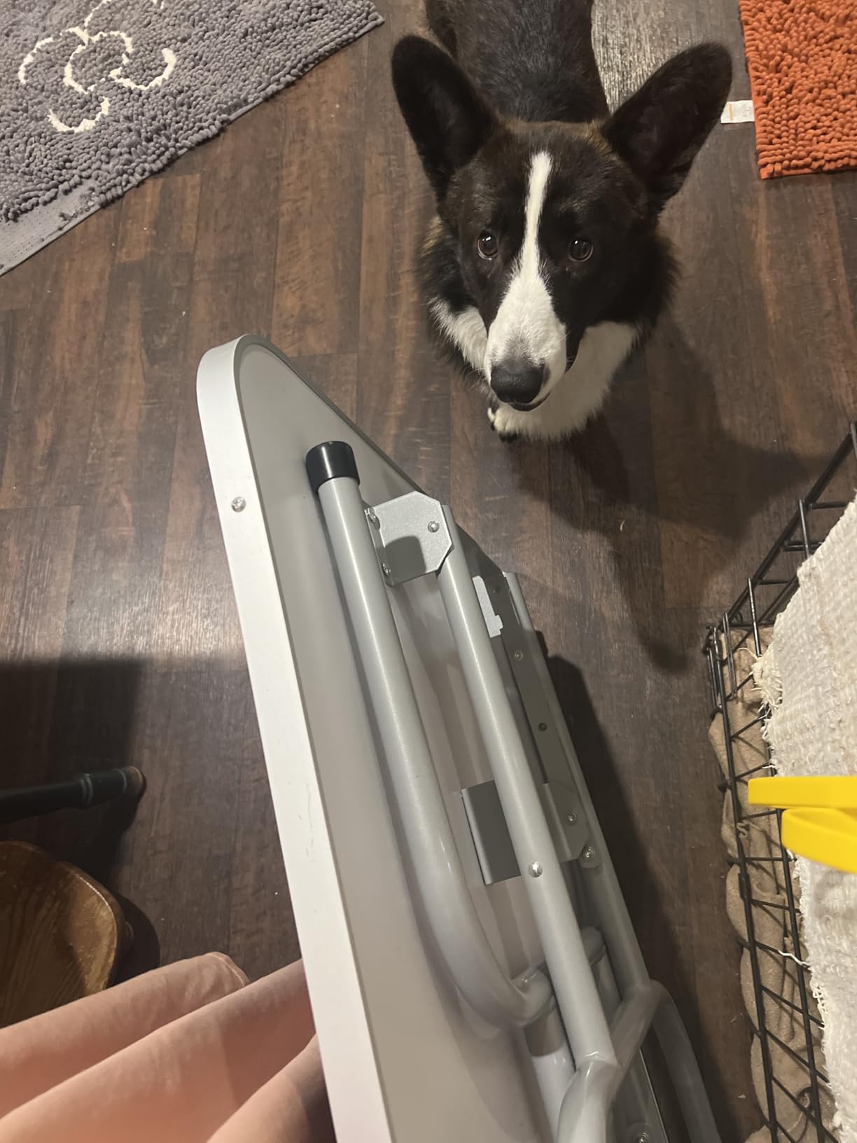 Yaheetech 46'' Dog Grooming Table for Large Medium Dogs at Home, Black customer photo 1