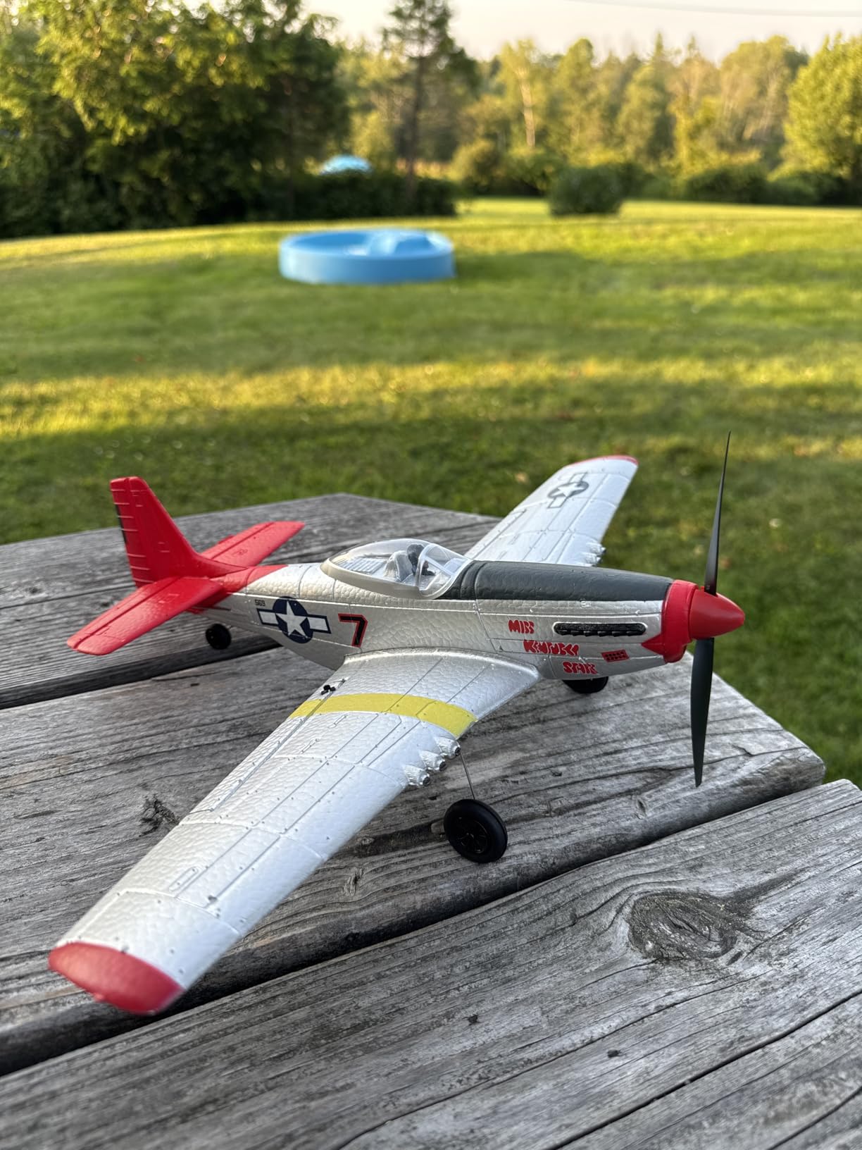 LEAMBE 4 Channel RC Plane, Ready to Fly Aerobatic Aircraft, Easy Control for Beginners, P51 Mustang RC Airplane Best Gift for Adults customer photo 1