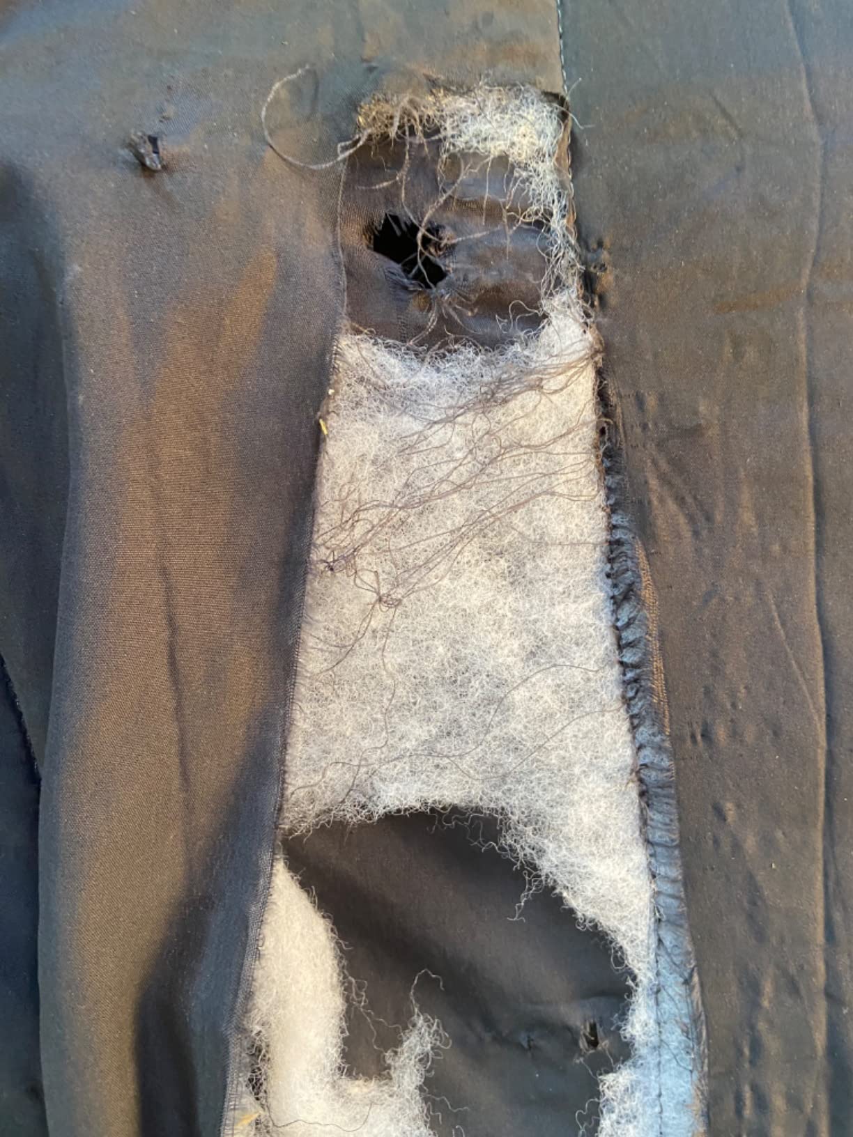 Horze Glasgow Anti-Slip Stable Horse Blanket (100g Fill) - Dark Blue - 78 in customer photo 1