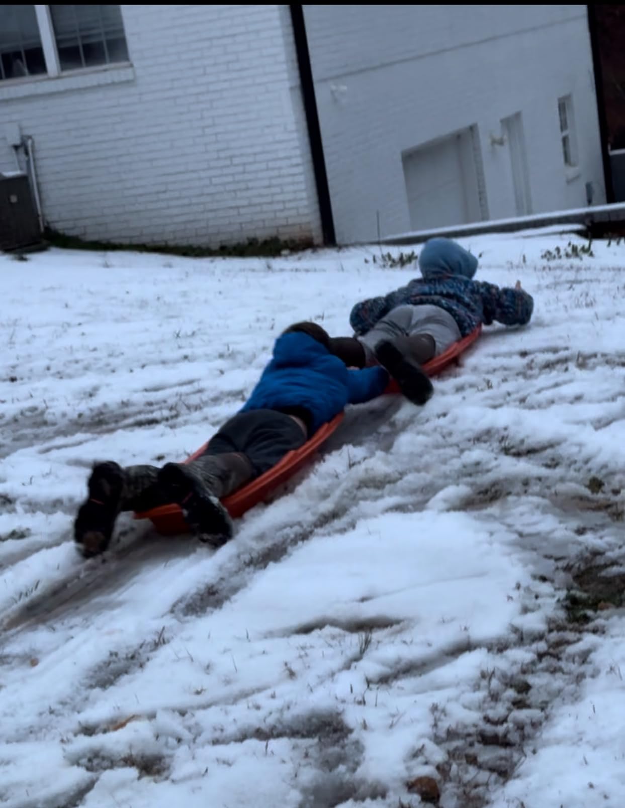 Flexible Flyer Winter Lightning Snow Sleds for Kids and Adults (3-Pack) - 48 Inch Toboggan Style Plastic Sled with Hard Bottom for Fast, Smooth Rides - 1 or 2 Riders (Blue, Green, Orange) customer photo 1