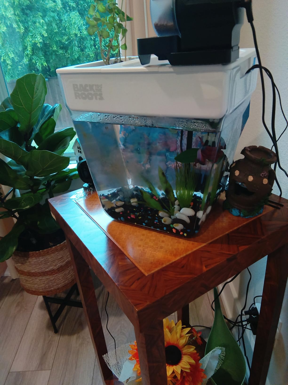 DXOPHIEX Automatic Fish Feeder Food Dispenser Vacation Fish Feeder | Powered by Battery and USB, For Aquarium and Turtle Tank customer photo 1